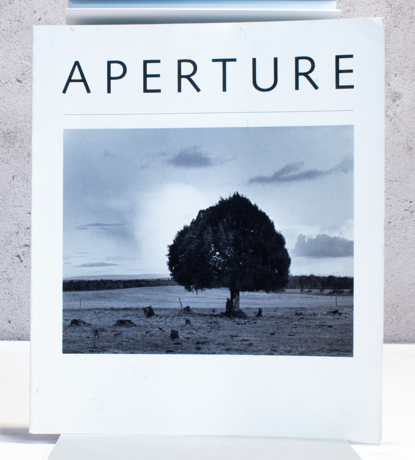 Aperture Walter Chappell Paul Caponigrp #82