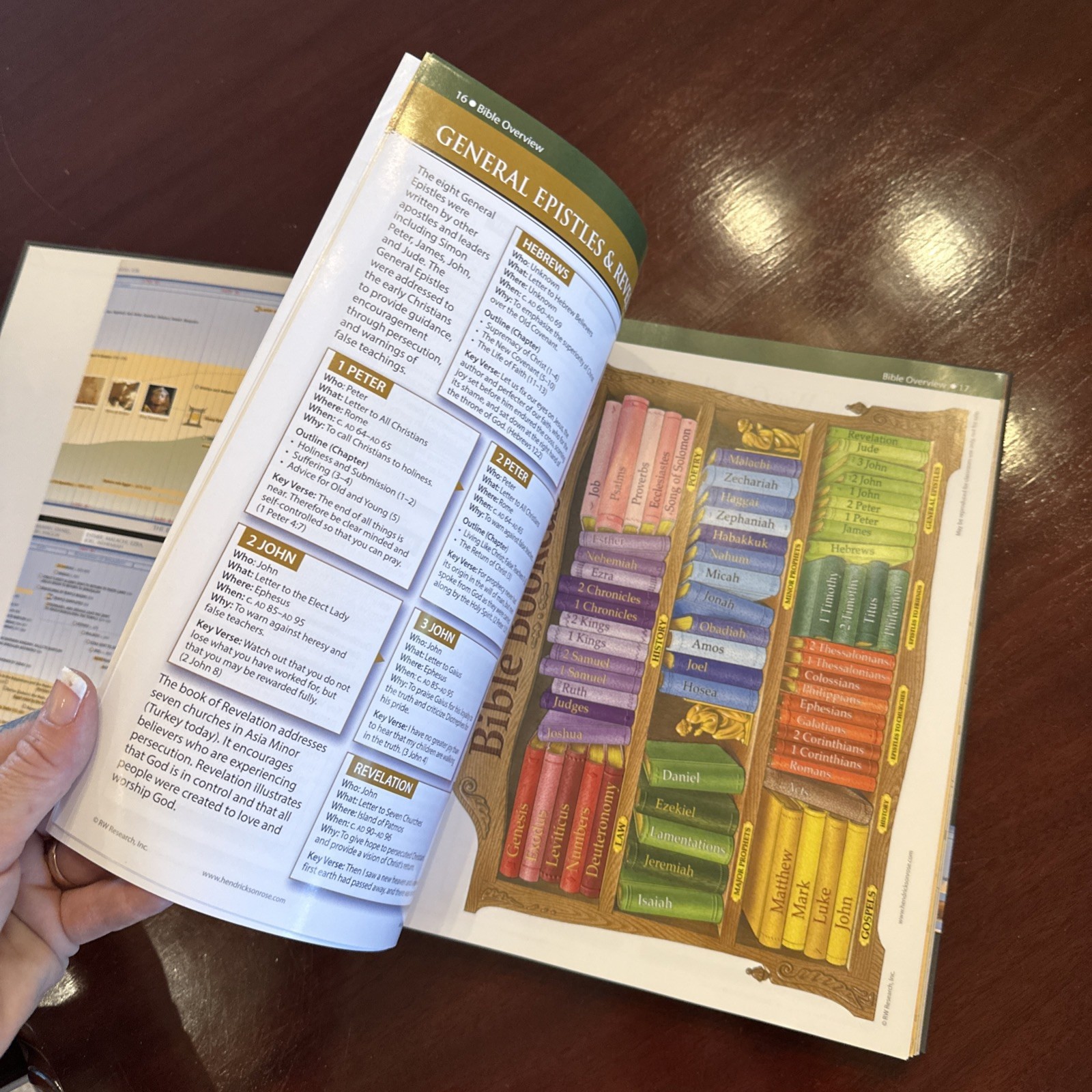 Rose Book of Bible Charts, Maps, and Time Lines Full-Color Bible Chart 10th Ann.