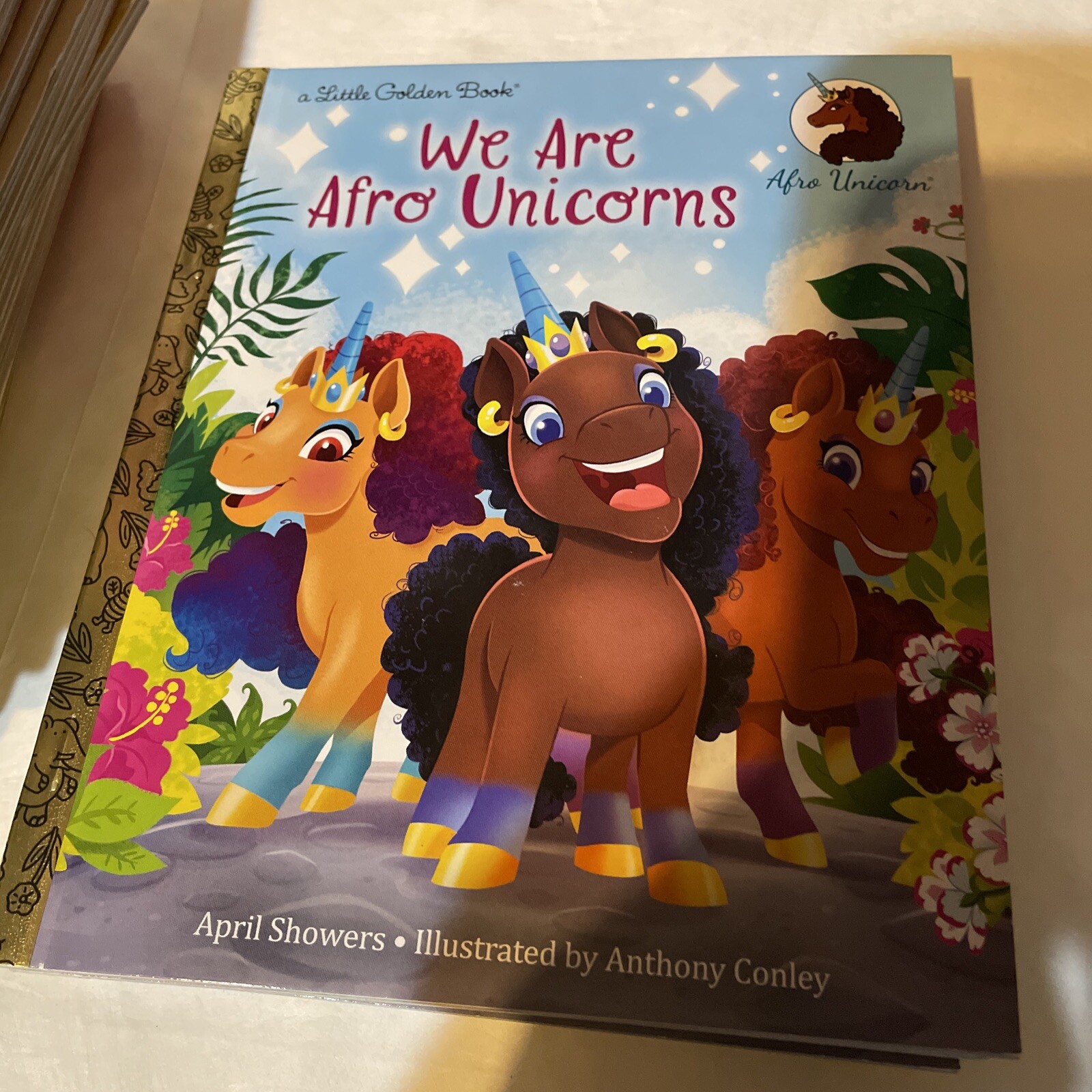 April Showers Anthony Conley We Are Afro Unicorns (Hardback)