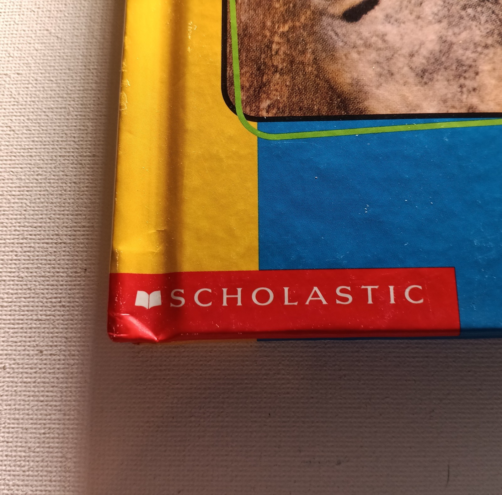 Scholastic Getting to know Nature’s children Animal Books Lot of 6 (hard cover)