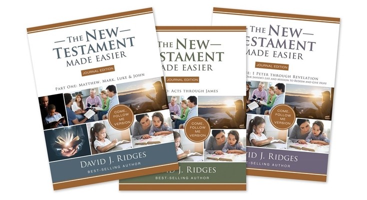 New Testament Made Easier Journal Edition by Ridges, David J.