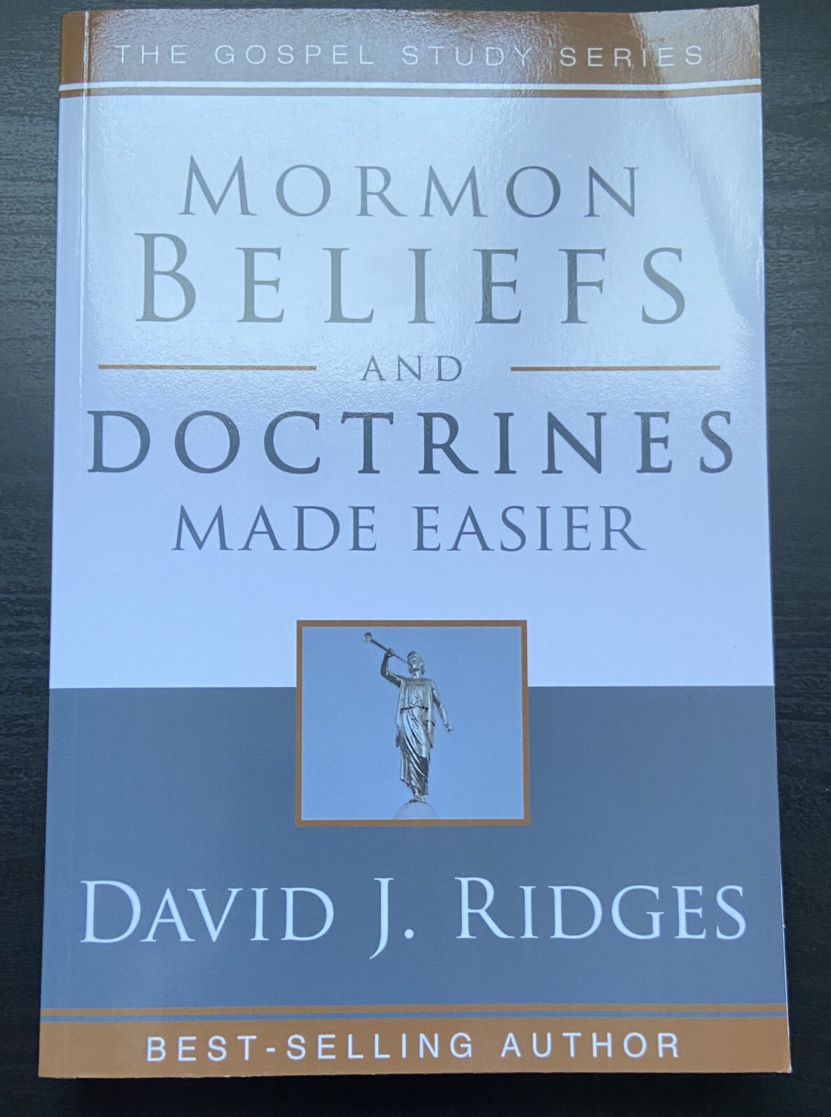 Mormon Beliefs and Doctrines Made Easier – Paperback By Ridges, David J