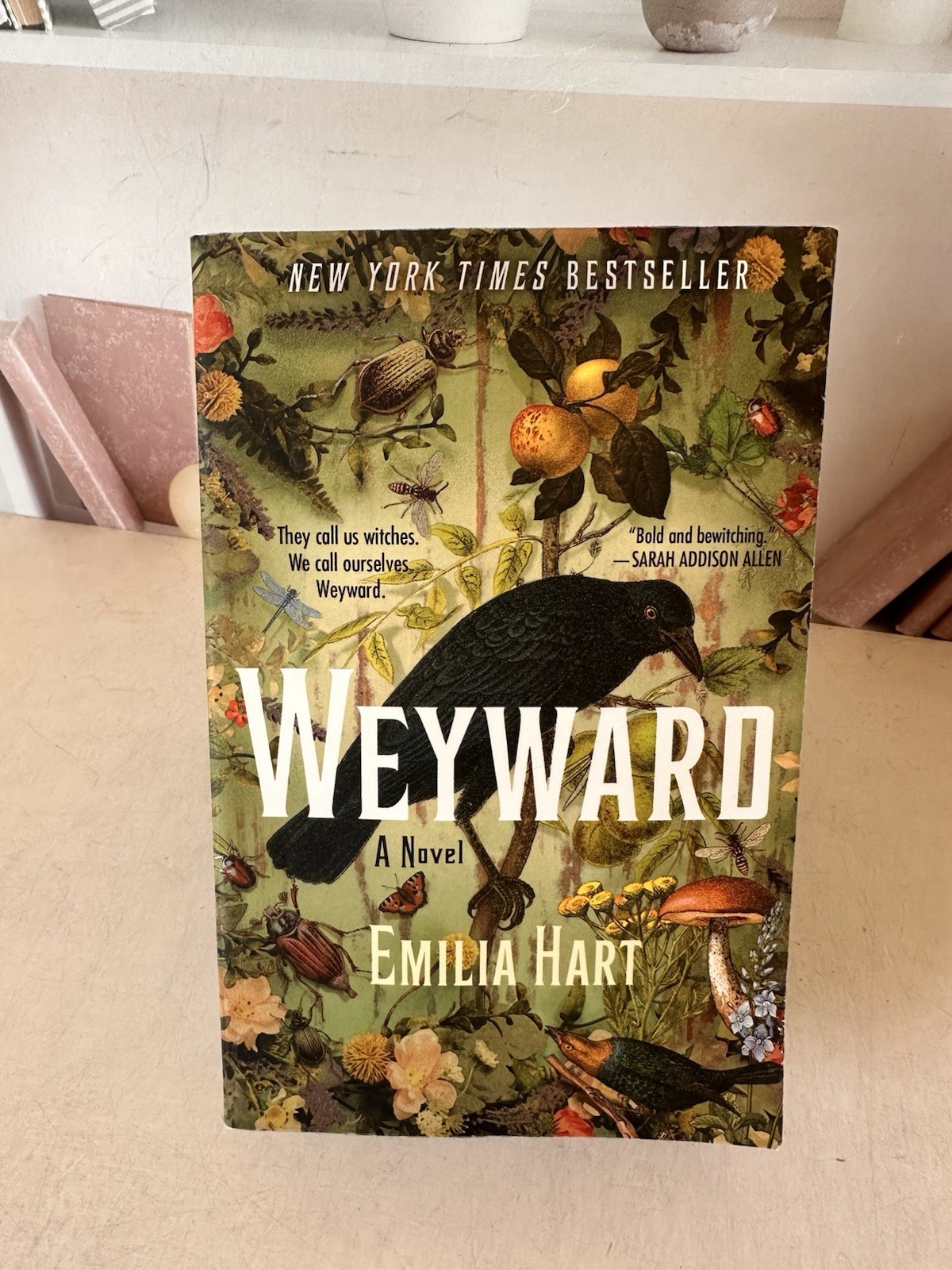 Weyward : A Novel Paperback Emilia Hart