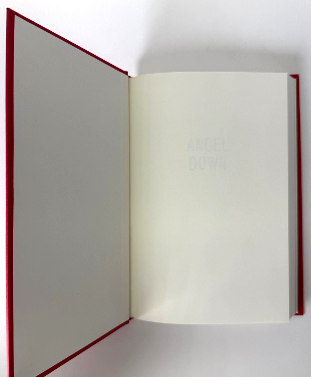 Angel Down (Pulitzer) Daniel Kraus 2025 1st edition 1st printing in Mylar, New