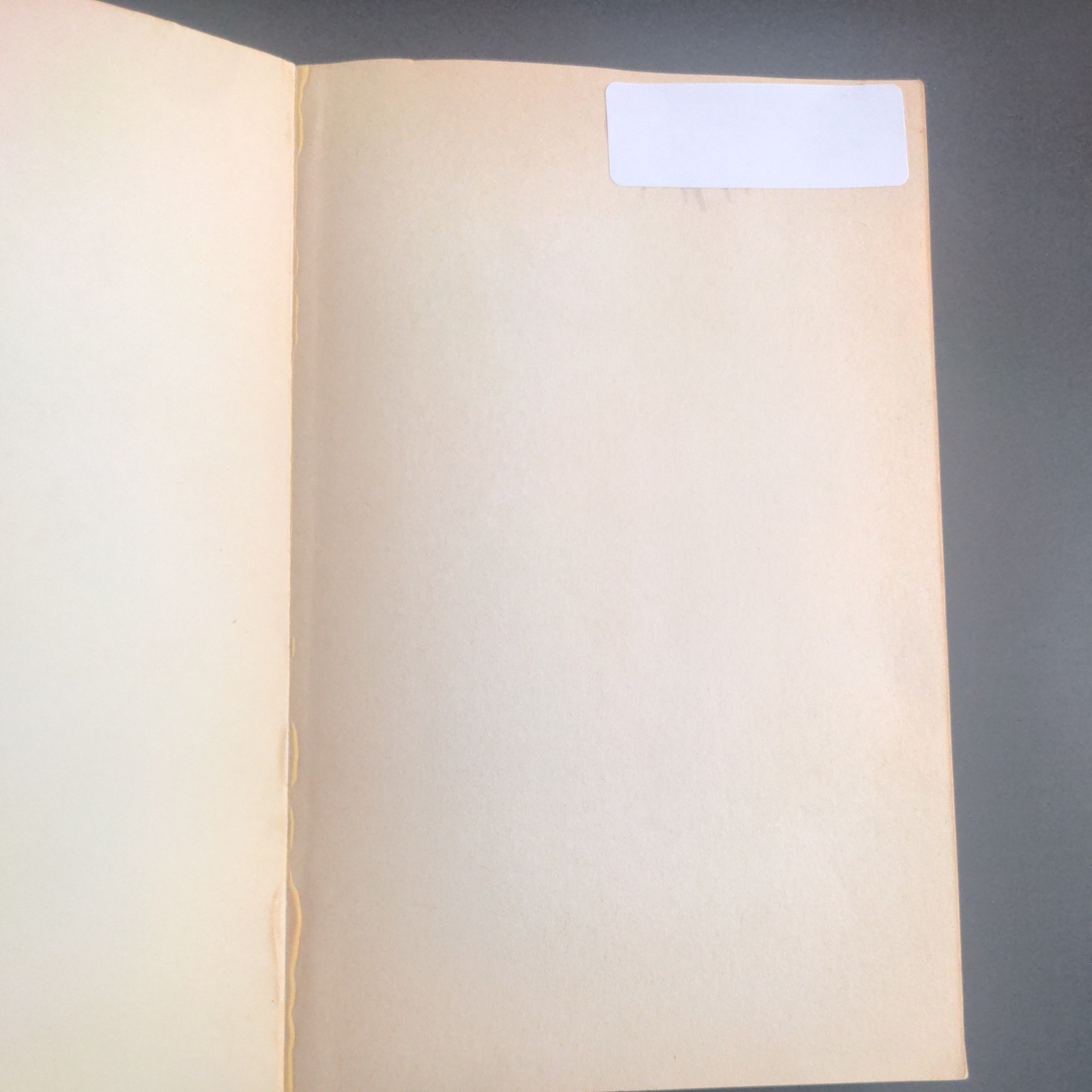 A Rhetoric And Handbook – Richard M Weaver (Paperback, 1967) VG, Revised