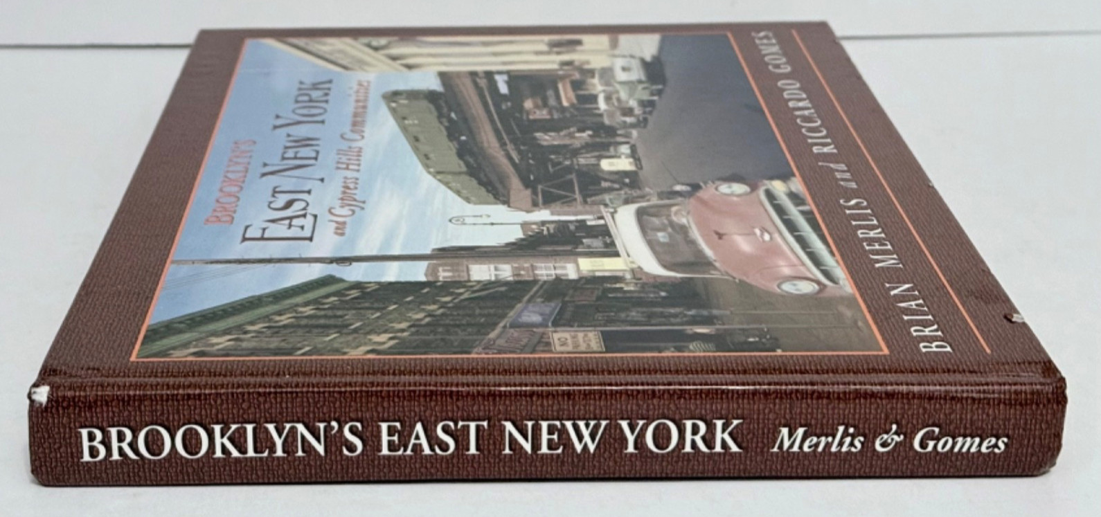 Brooklyn’s East New York and Cypress Hills Communities Merlis and Gomes 2010 HC