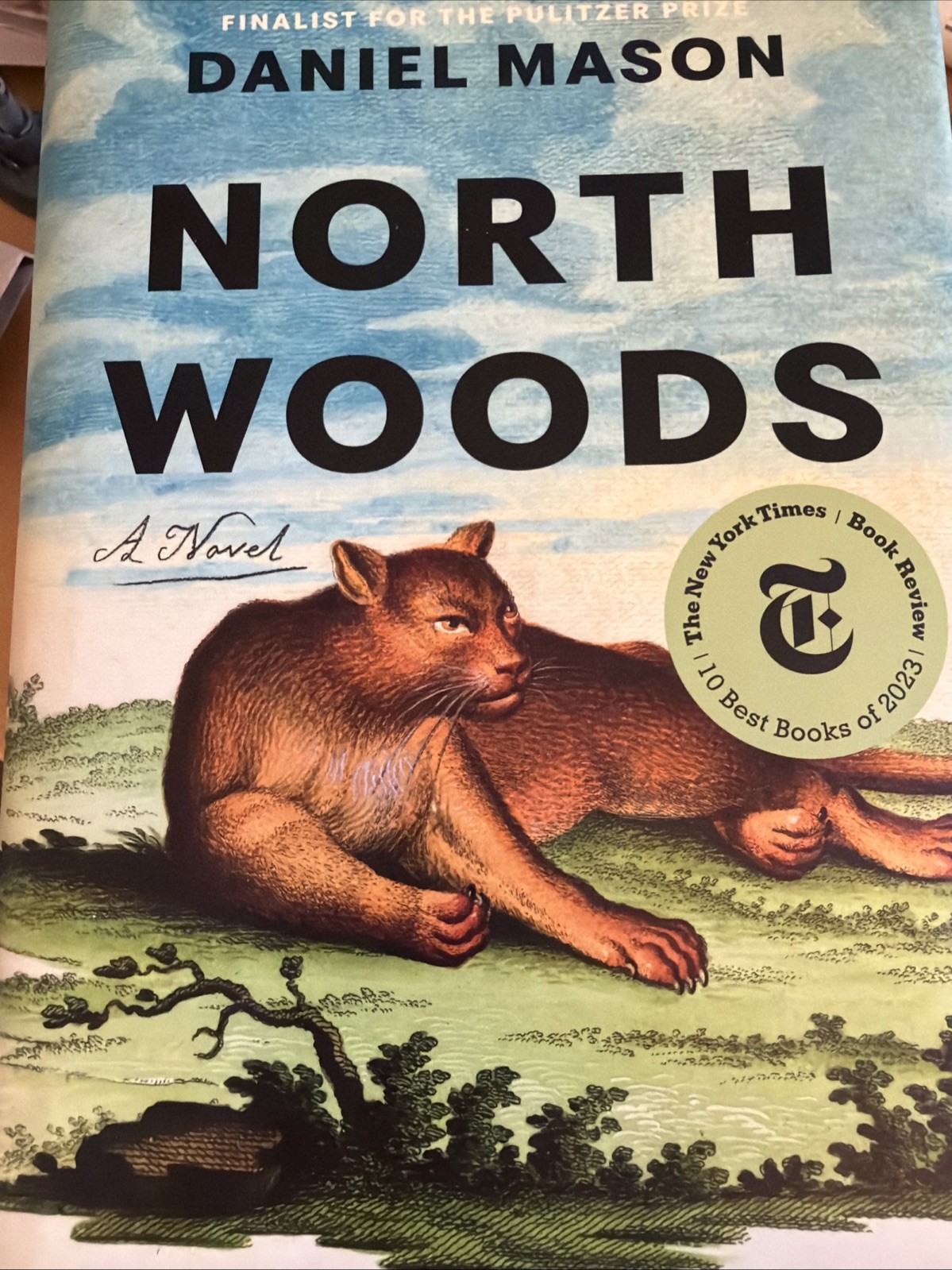 North Woods : A Novel by Daniel Mason (2023, Hardcover)