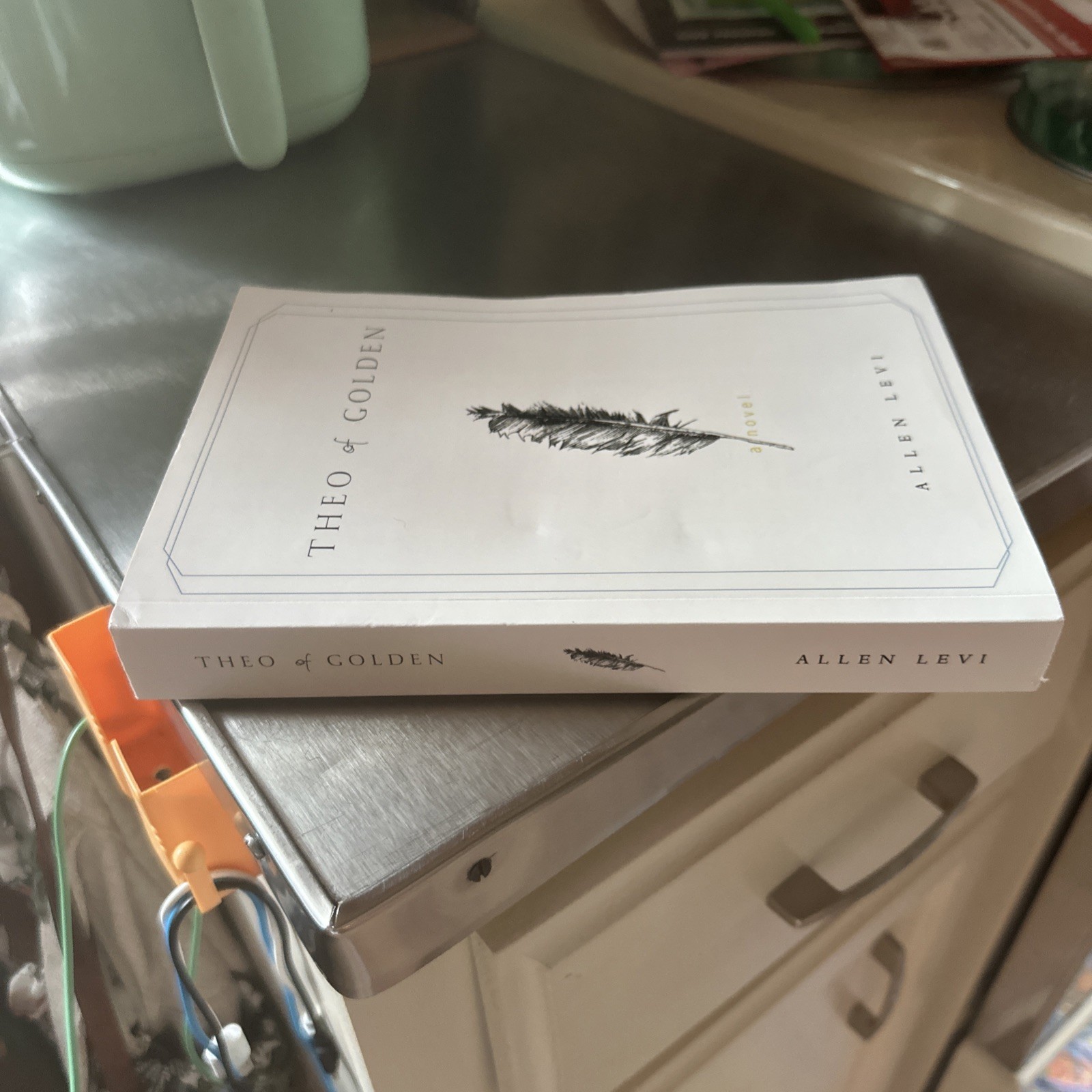 Perfect Book for Gift – Theo of Golden, Paperback
