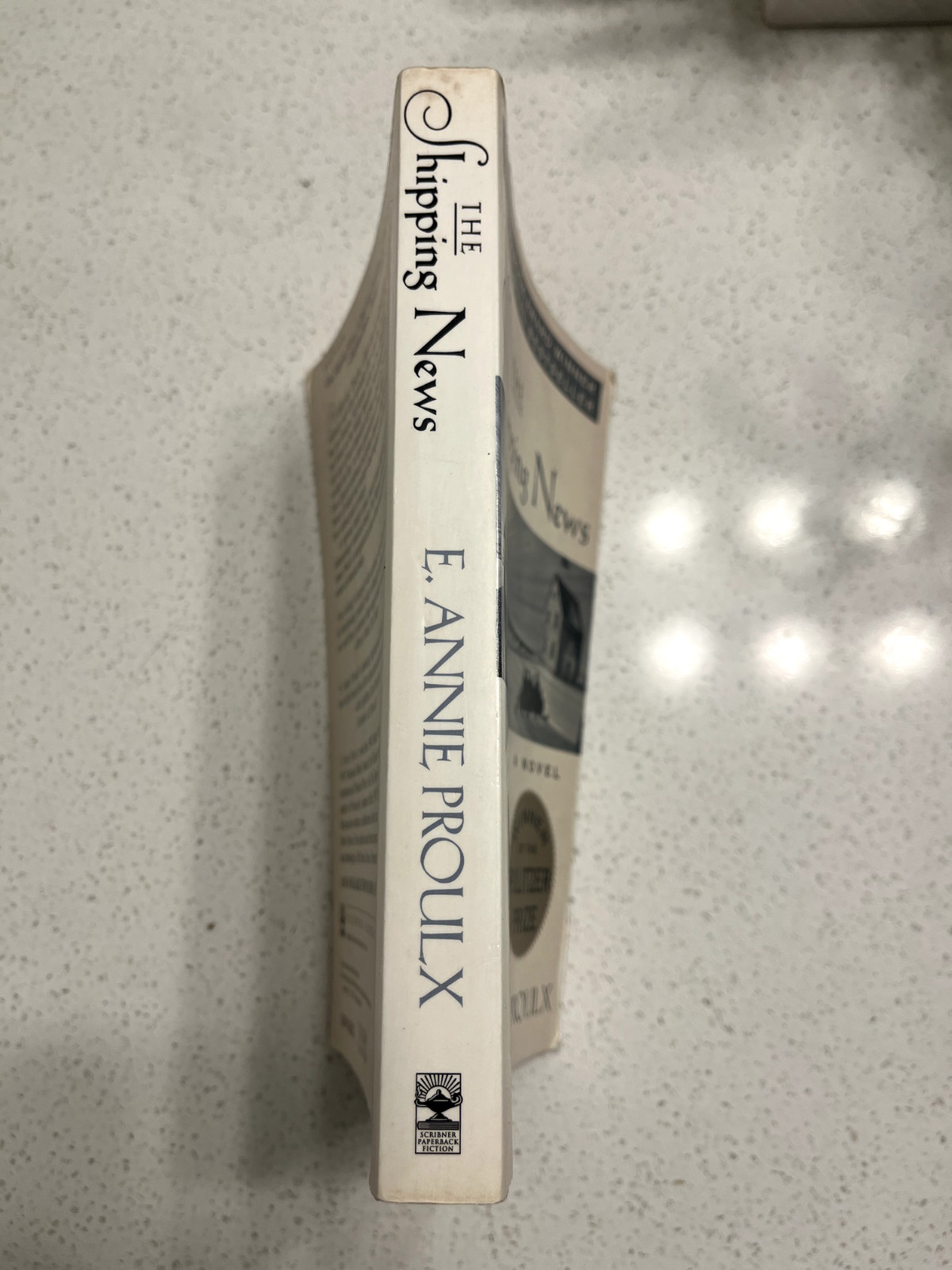 The Shipping News by Annie Proulx (1994, Paperback Book) Pulitzer Prize Winner