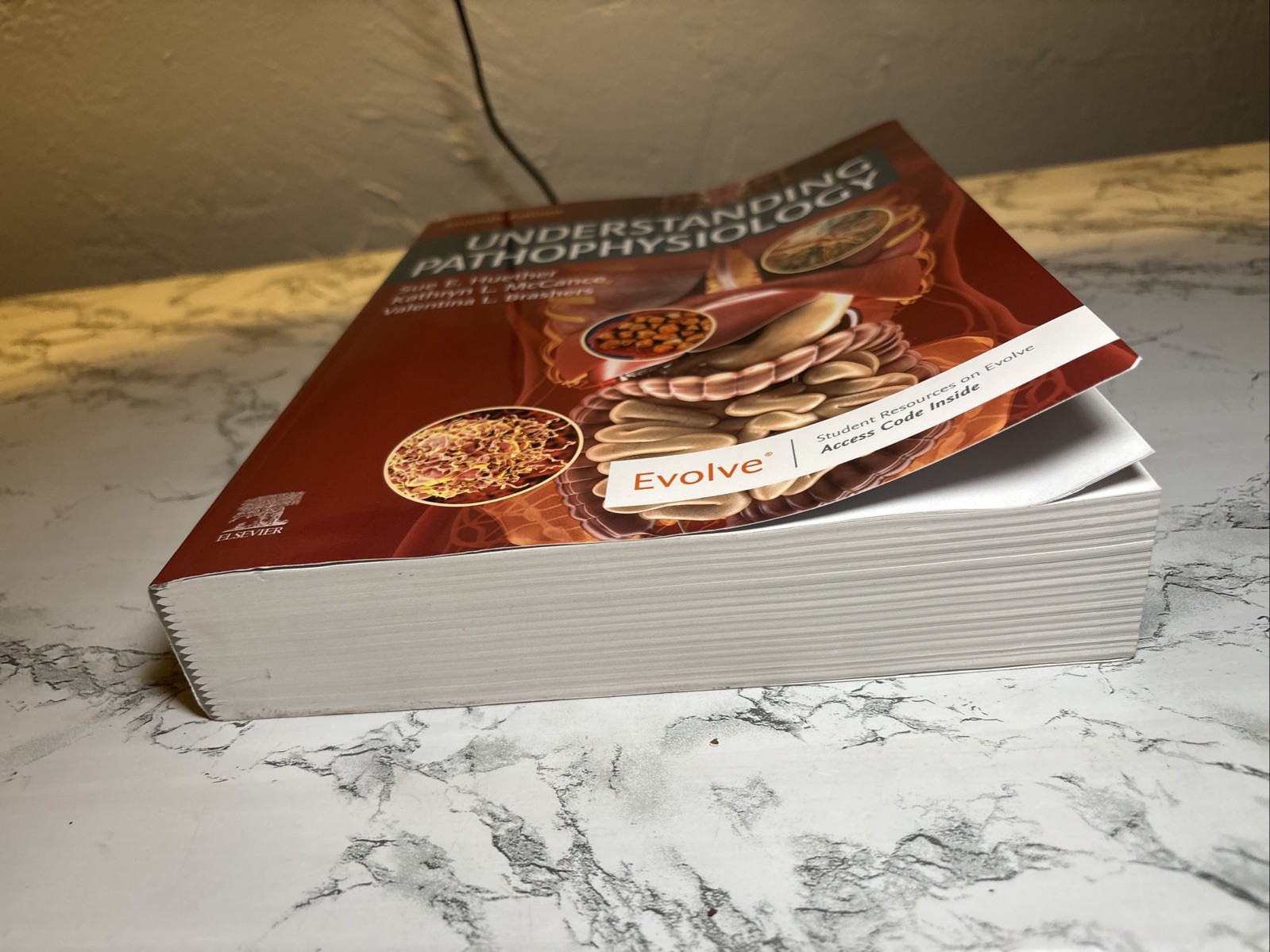 Understanding Pathophysiology 7th Ed Huether McCance Elsevier Paperback