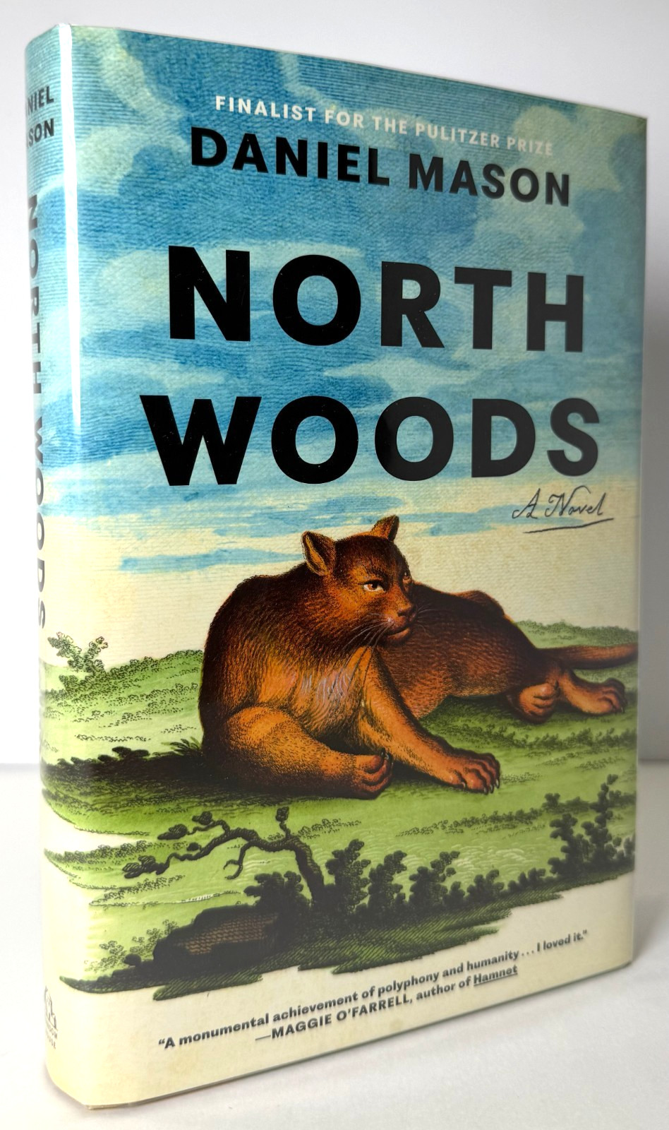 North Woods, Daniel Mason 2023 HCDJ 1st ed, 1st printing in Mylar, Near Fine