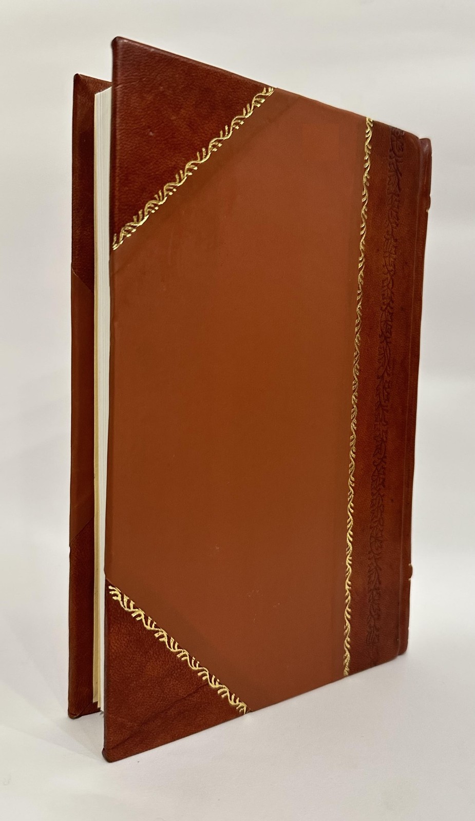 Narrative of the Expedition Which Sailed from England in 1817 t [Leather Bound]