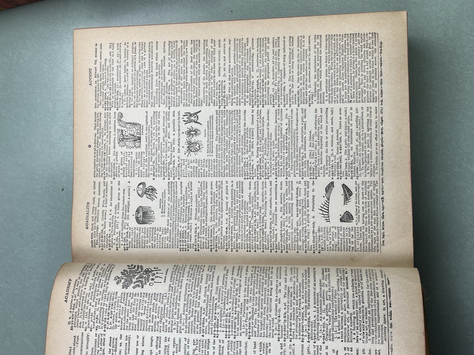 Webster’s Universal Unabridged Dictionary Volumes 1 & 2 Vintage 1936 Embossed