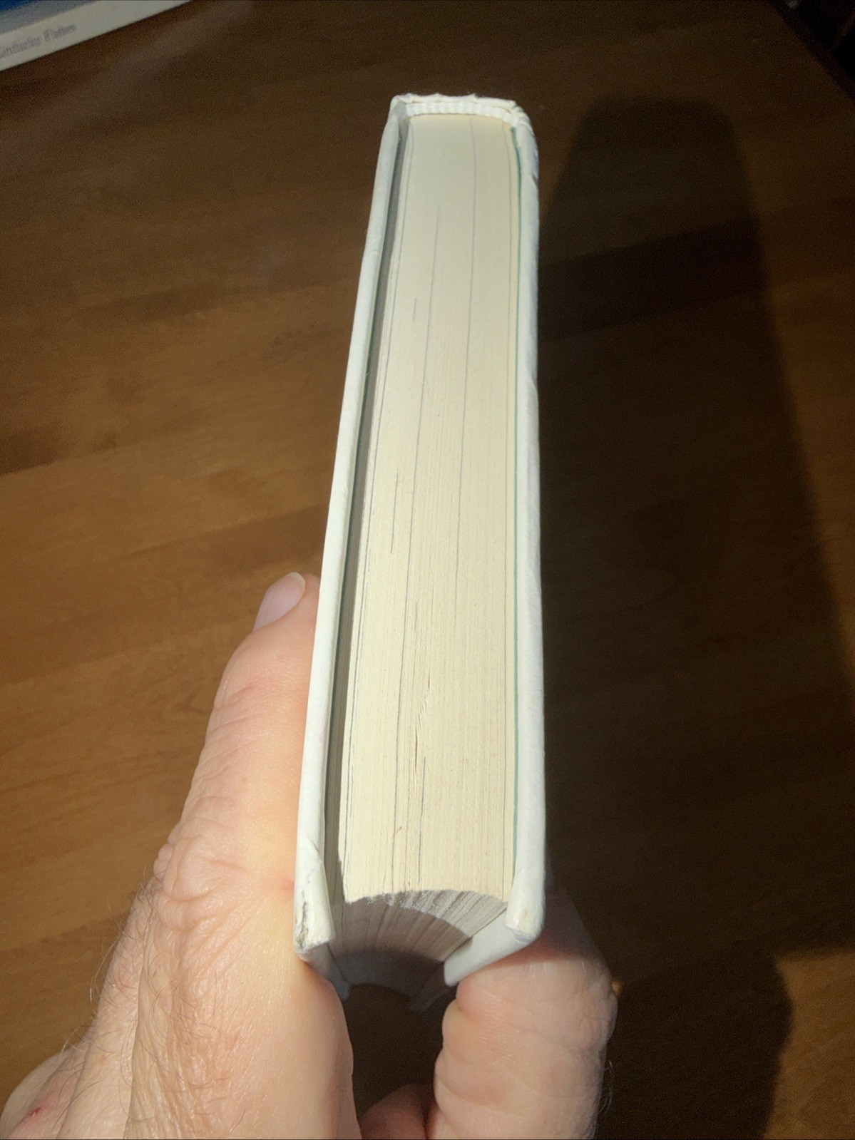 The Wild Robot by Peter Brown. First Edition. Hardcover. Good Condition.