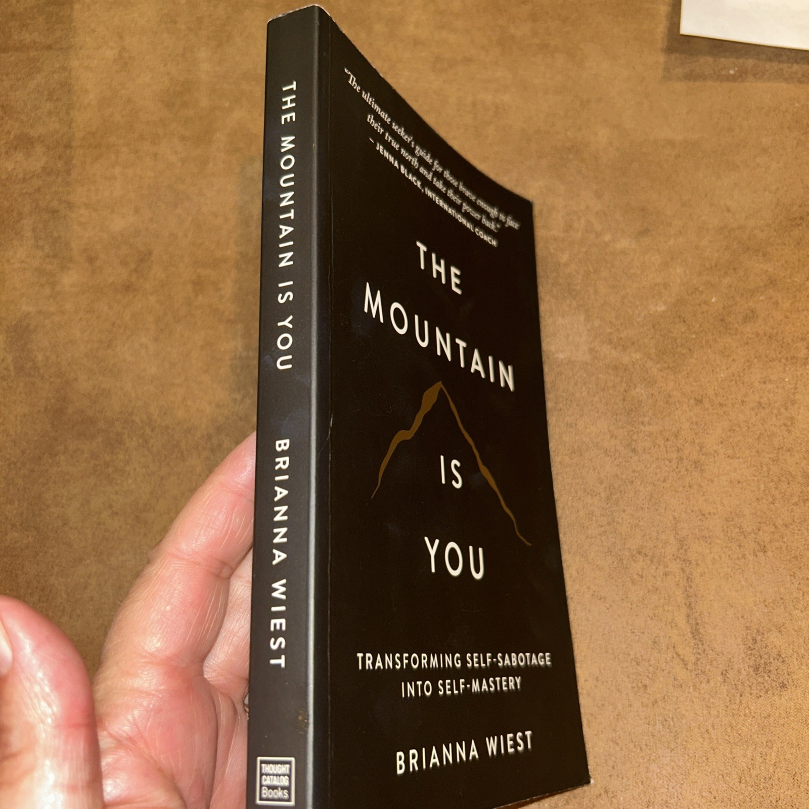 The Mountain Is You: Transforming Self-Sabotage Into Self-Mastery paperback