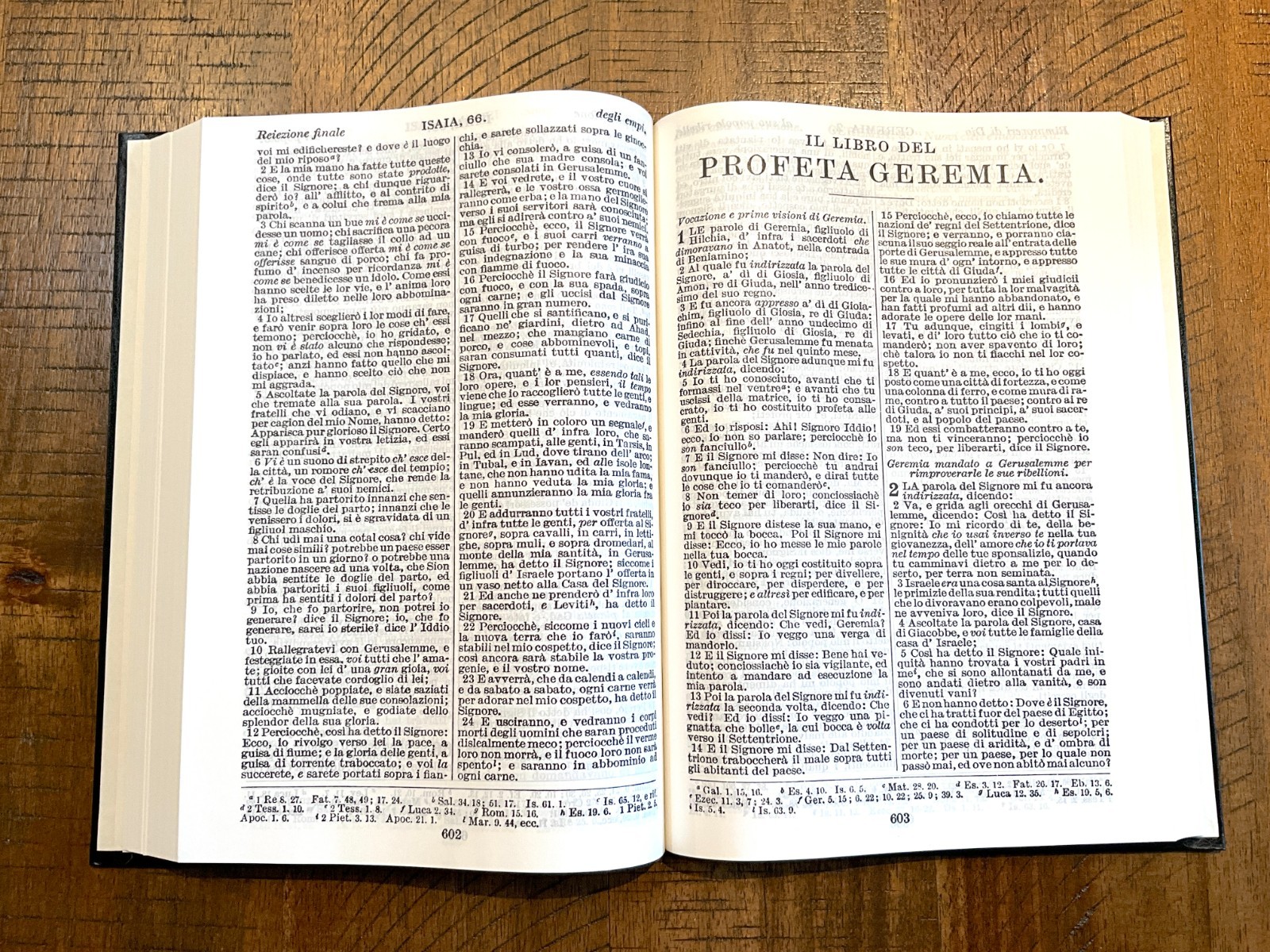 Italian Language Bible, Sacra Bibbia, Reformation-era Diodati, Hardcover