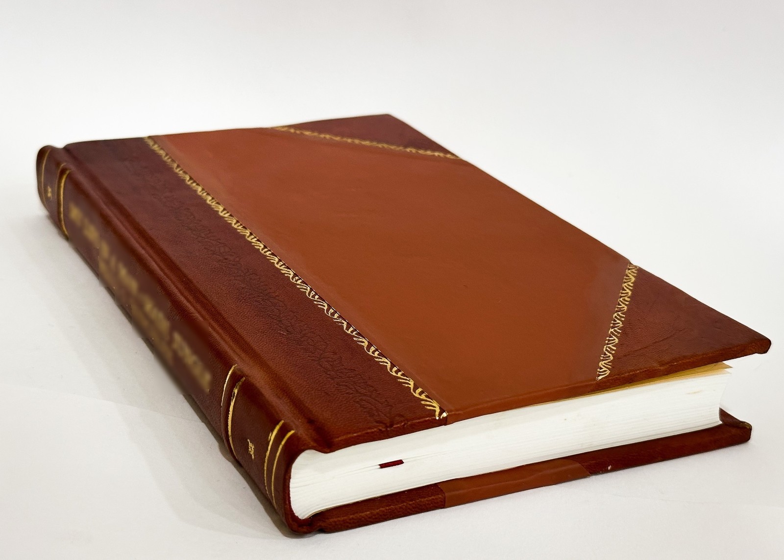 Narrative of the Expedition Which Sailed from England in 1817 t [Leather Bound]