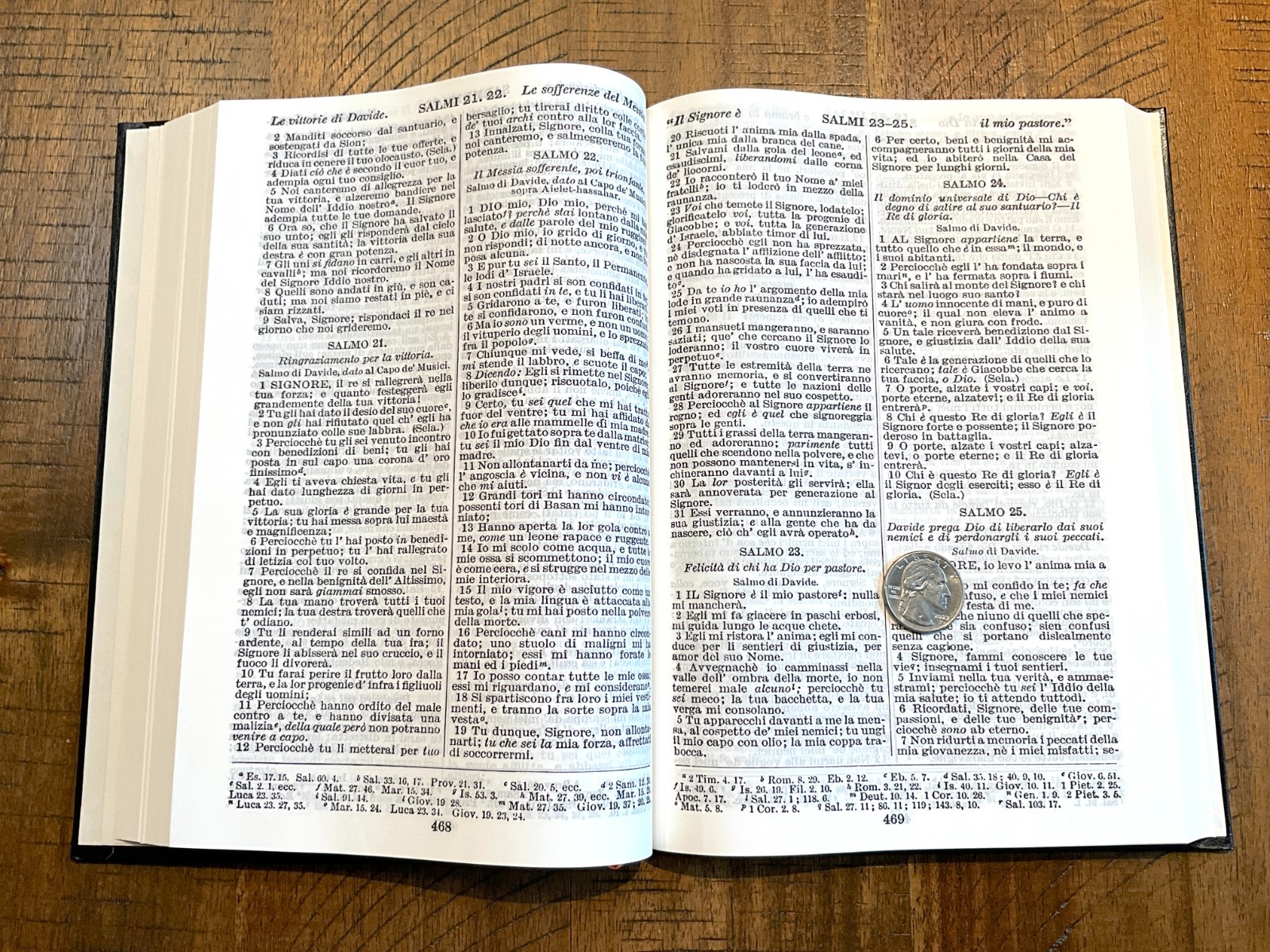 Italian Language Bible, Sacra Bibbia, Reformation-era Diodati, Hardcover