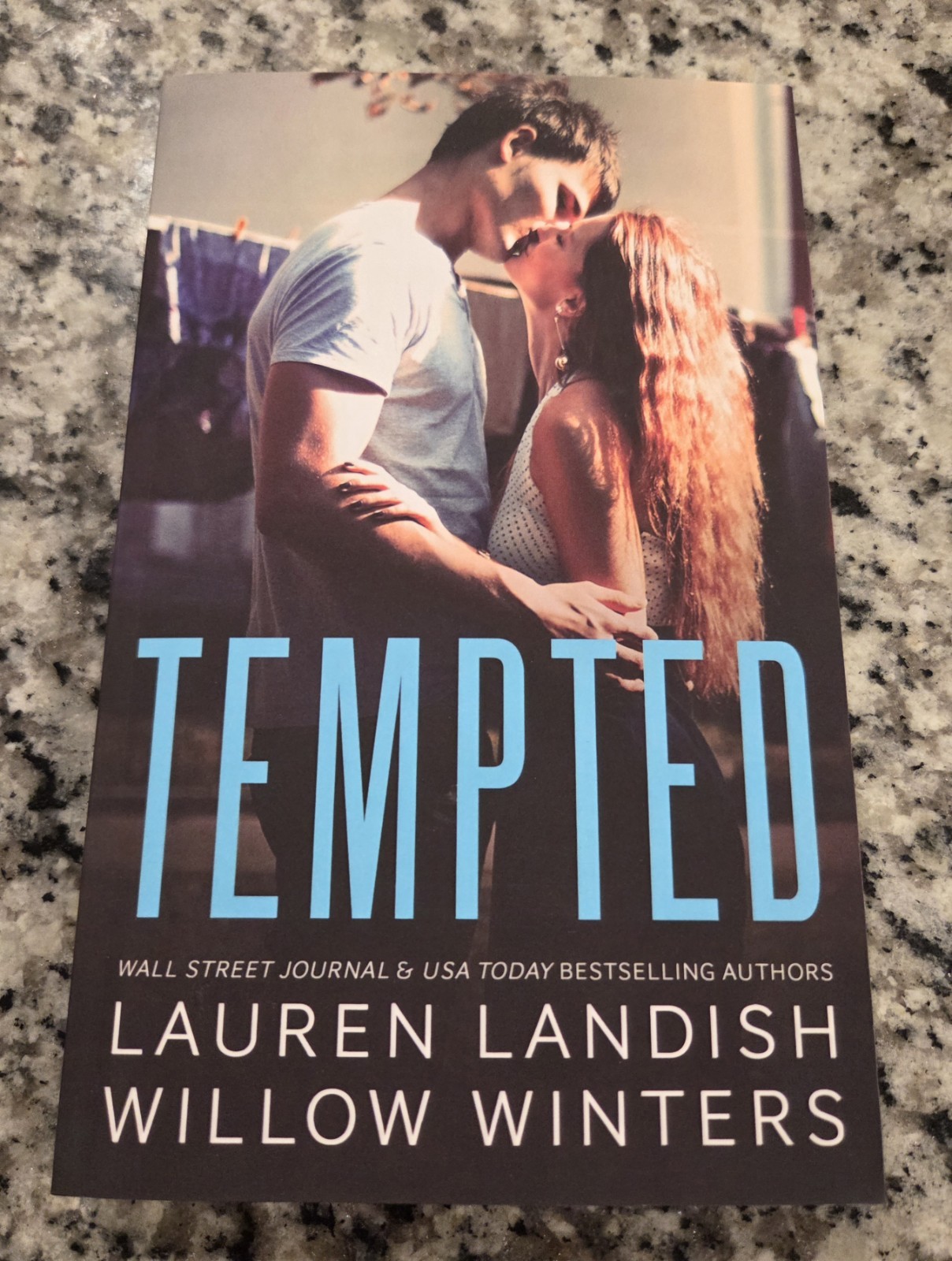 Tempted: A Bad Boy Next Door Soft Cover Lauren Landish & Willow Winters Book