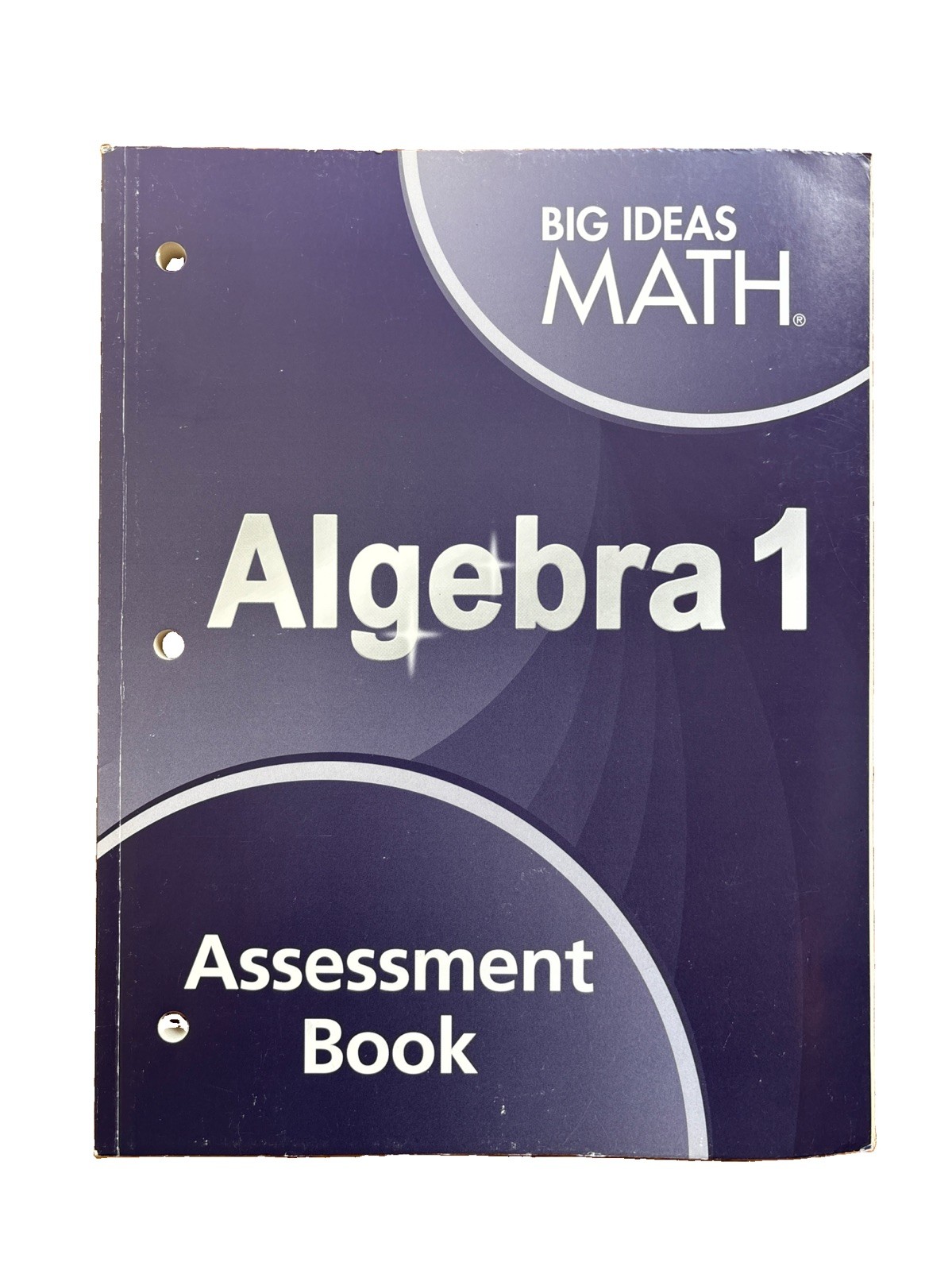 Big Ideas Math Algebra 1: Assessment Book by Houghton Mifflin