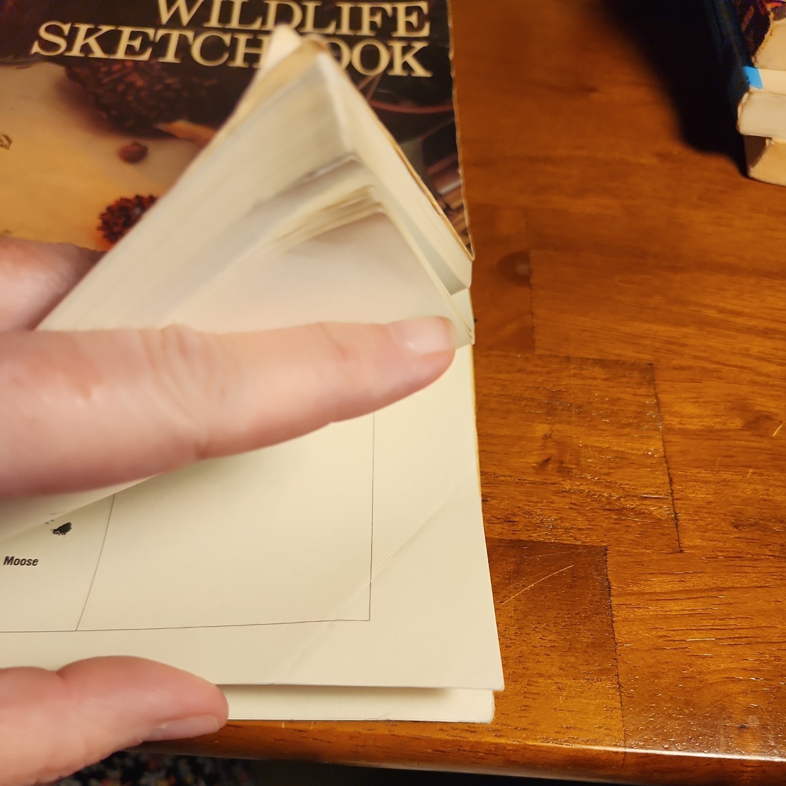 Ned Smith’s Wildlife Sketchbook – Paperback By Smith, Ned