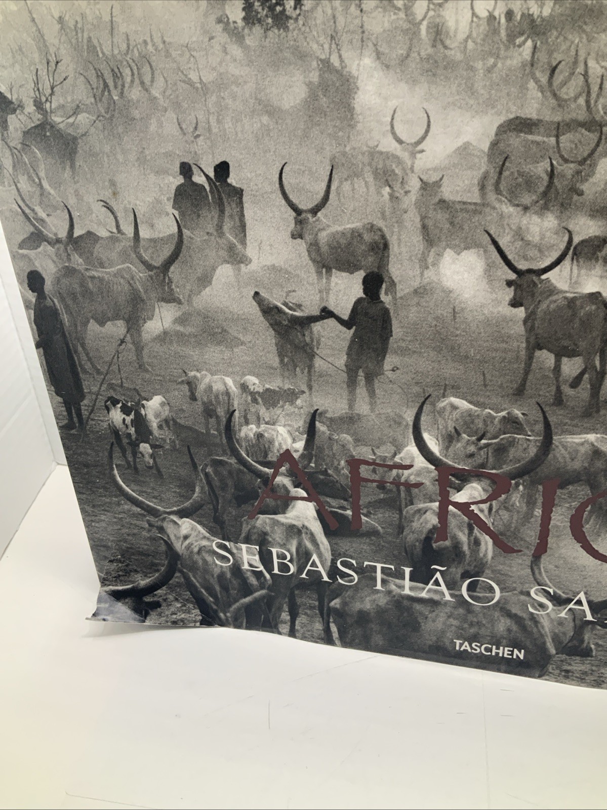 Sebastião Salgado Africa Taschen Hardcover Photography Coffee Table Book – 2007