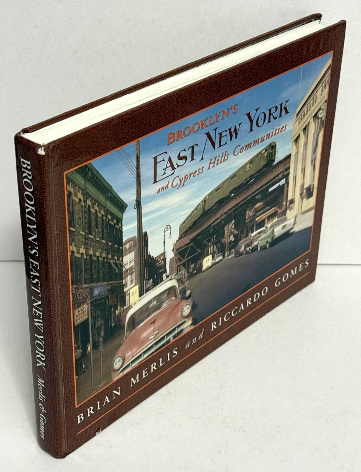 Brooklyn’s East New York and Cypress Hills Communities Merlis and Gomes 2010 HC