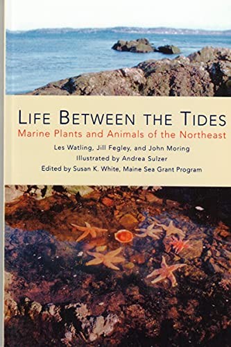 Life Between the Tides: Marine Plants and Animals of the Northeast – Watling…
