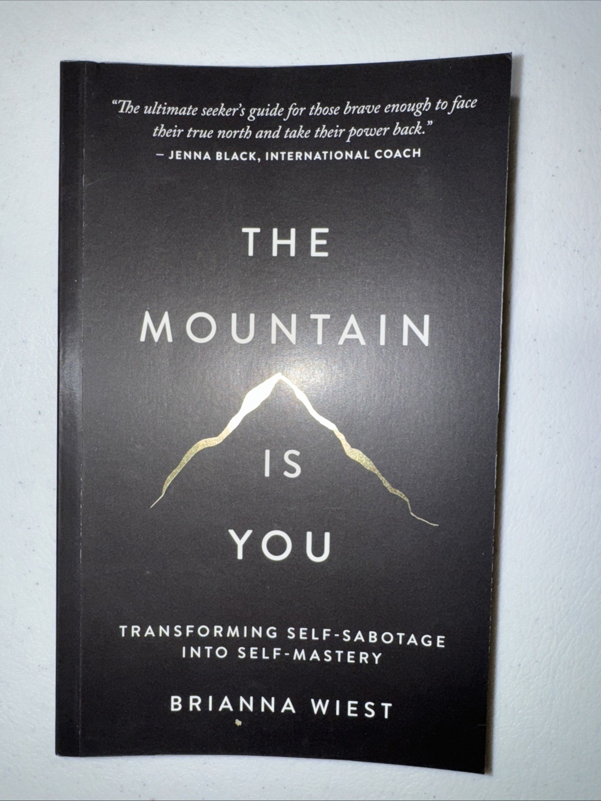 The Mountain Is You: Transforming Self-Sabotage Into Self-Mastery paperback VG