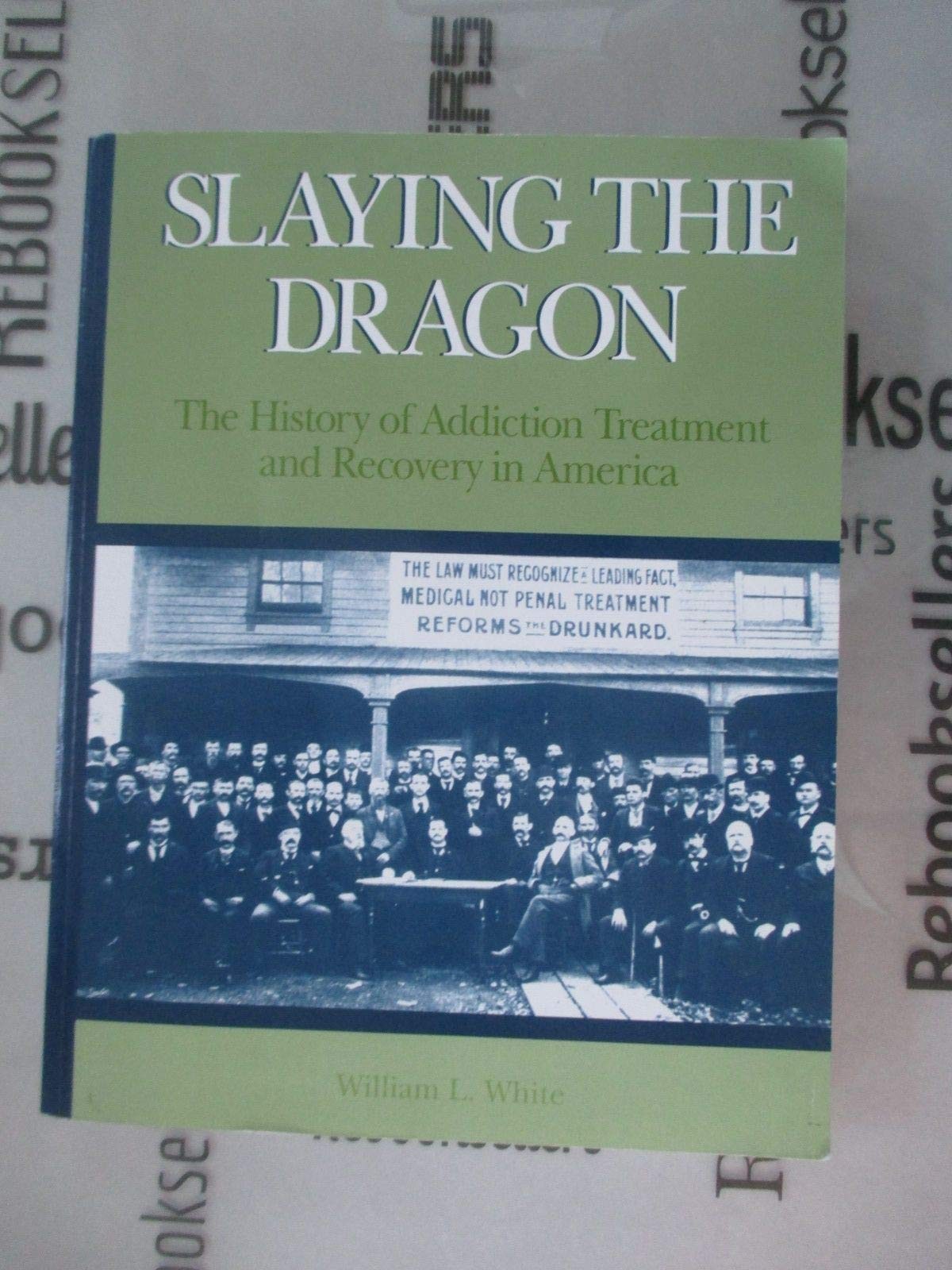 Slaying the Dragon: The History of Addiction Treatment and Recovery in Ameri…