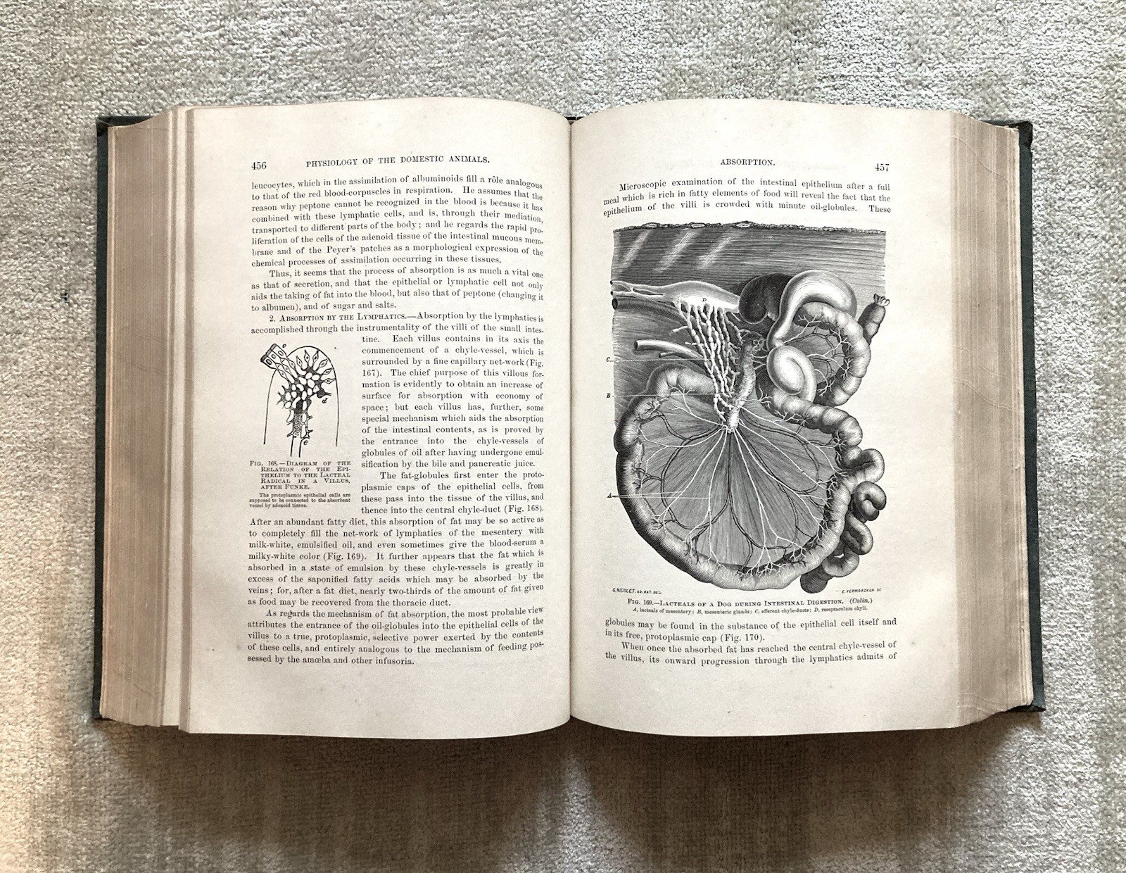 Physiology Of The Domestic Animals, Robert Meade Smith, Rare Book, 1905, Good+.