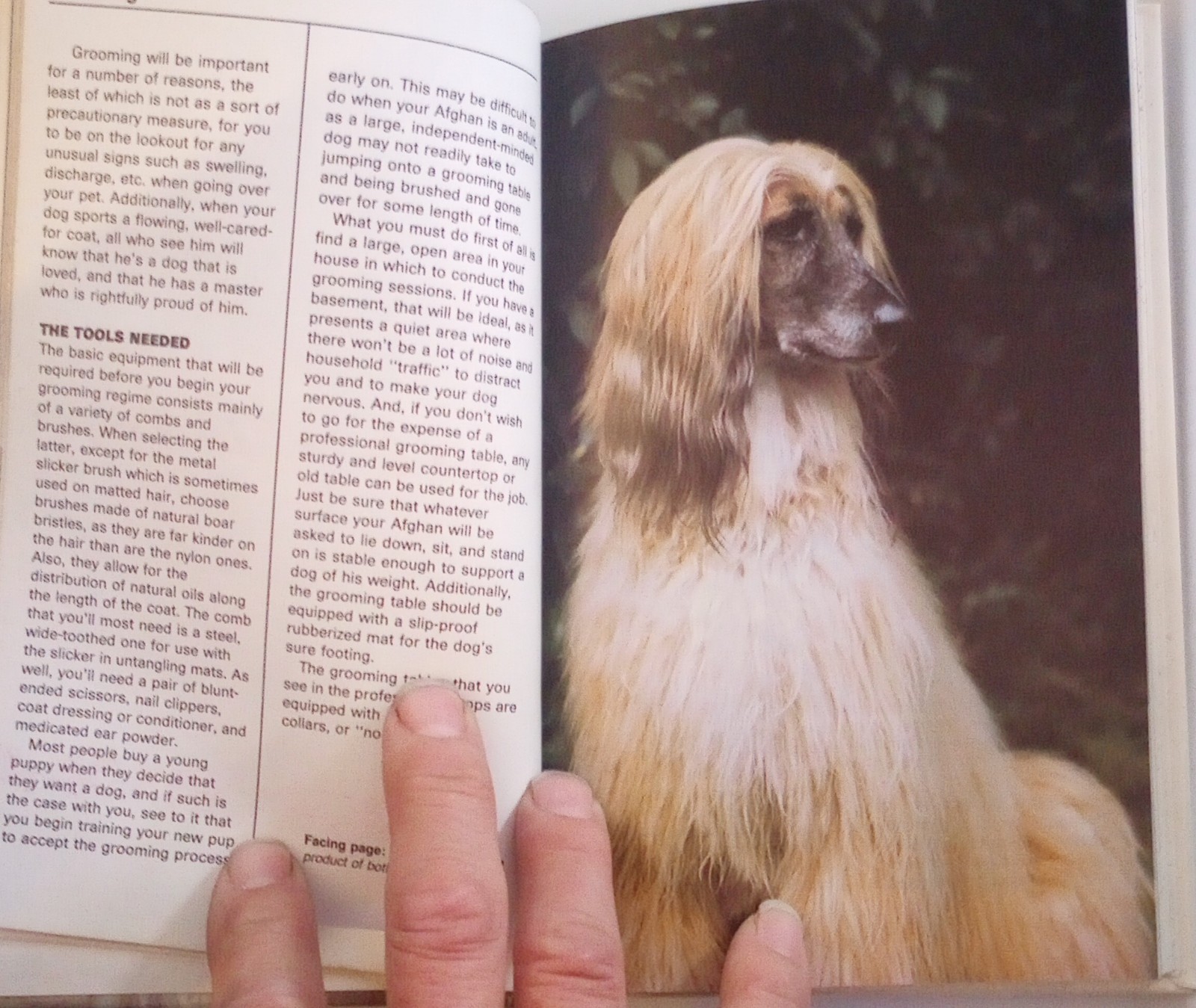 1988 Afghan Hounds 160 Pages Over 125 Full Color Illustrations By Beverly Pisano