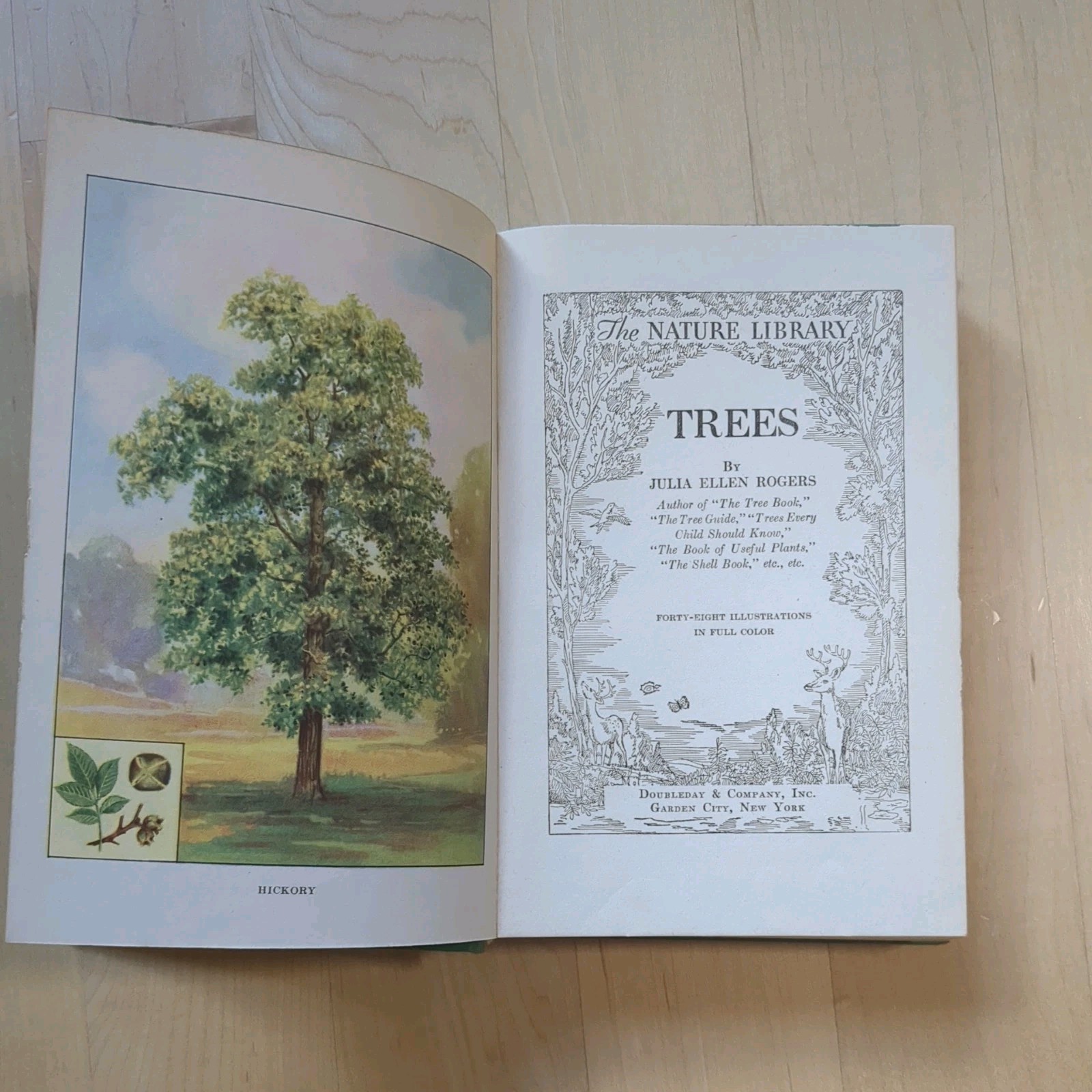 The Nature Library Trees by Julia Ellen Rogers 48 Colored Illustrations 1926 HC