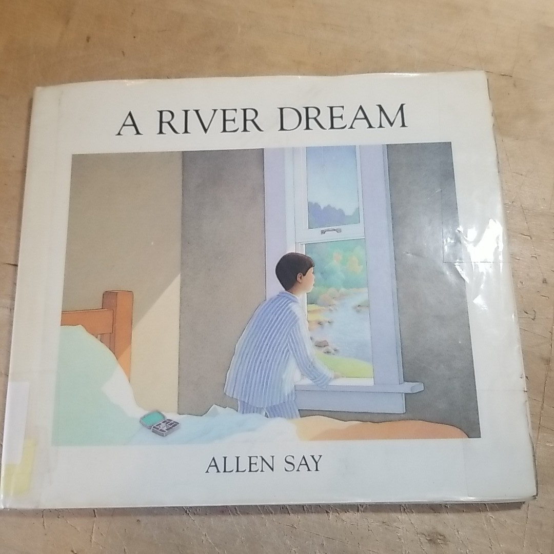 A River Dream Allen Say 9780395482940 hardcover
