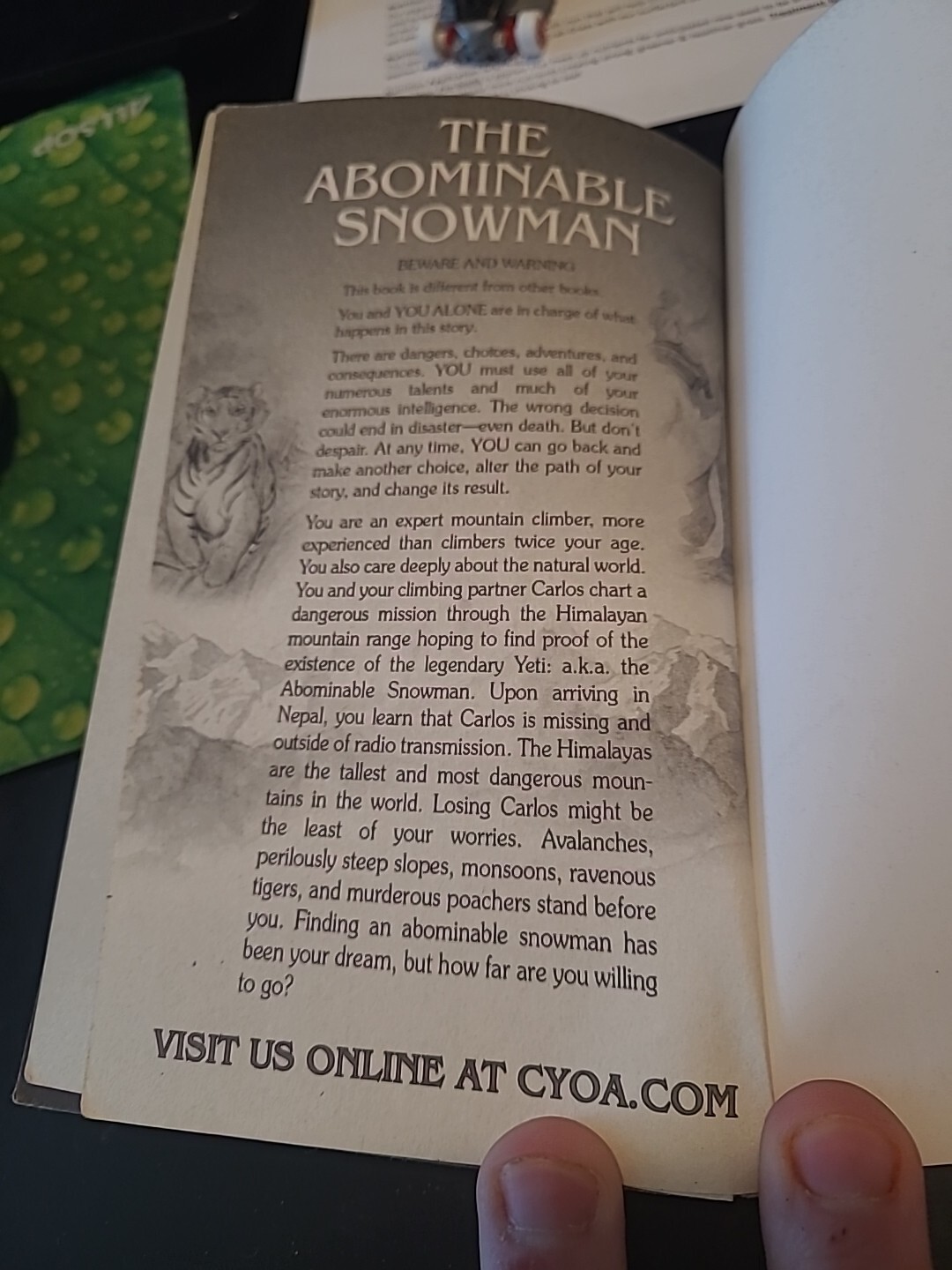 The Abominable Snowman : (Choose Your Own Adventure #1) by R. A. Montgomery…