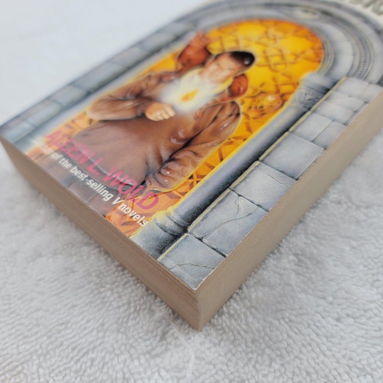 The Eye in the Stone Allen L. Wold 1988 Paperback