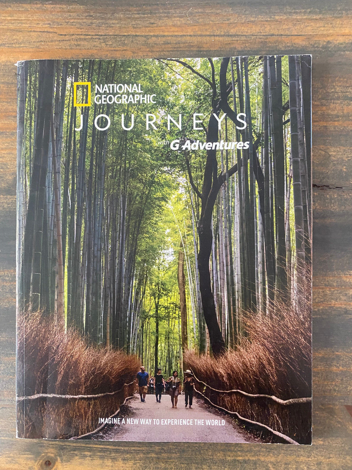 NATIONAL GEOGRAPHIC JOURNEYS 2020 TRAVEL CATALOG WITH G ADVENTURES 232 PAGES