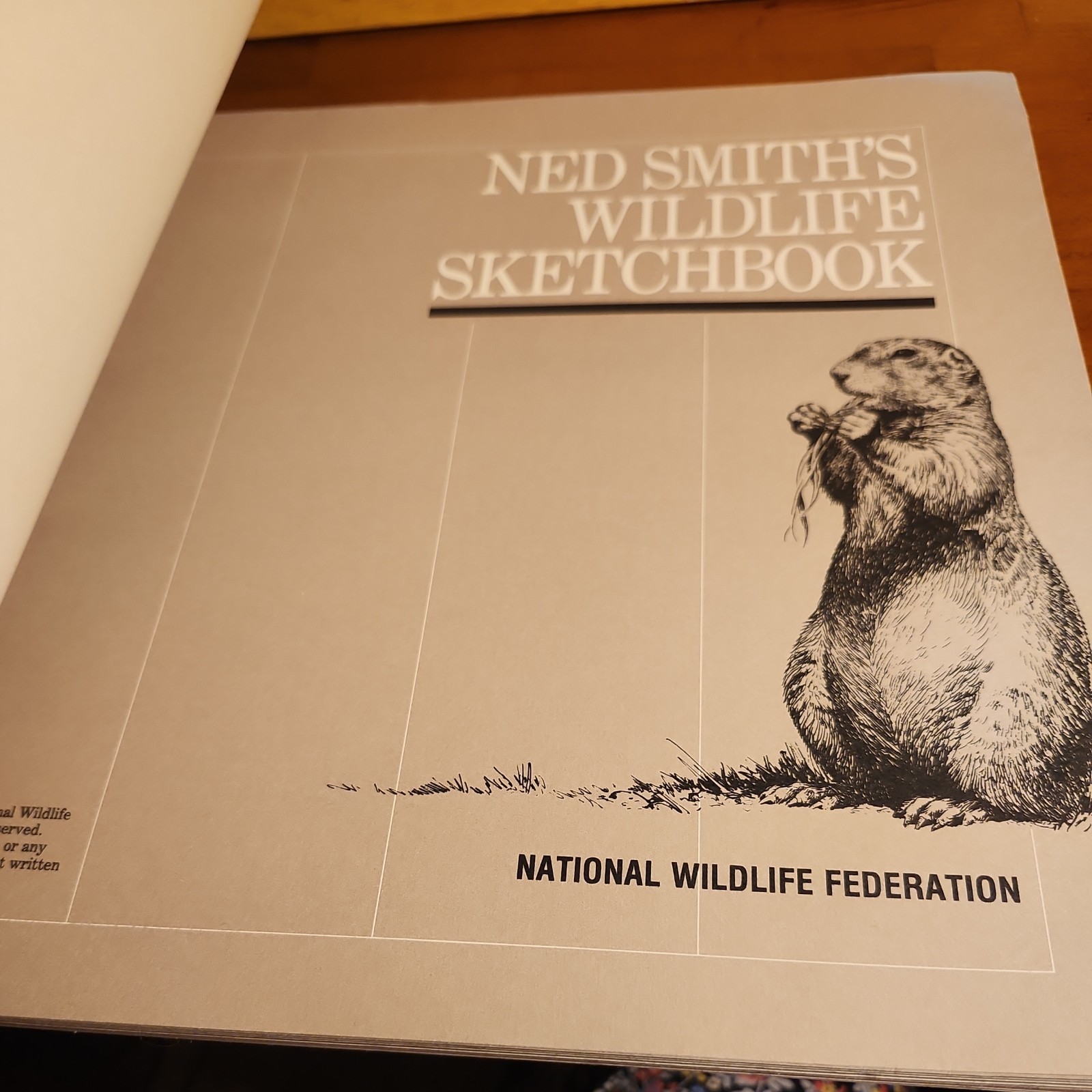 Ned Smith’s Wildlife Sketchbook – Paperback By Smith, Ned
