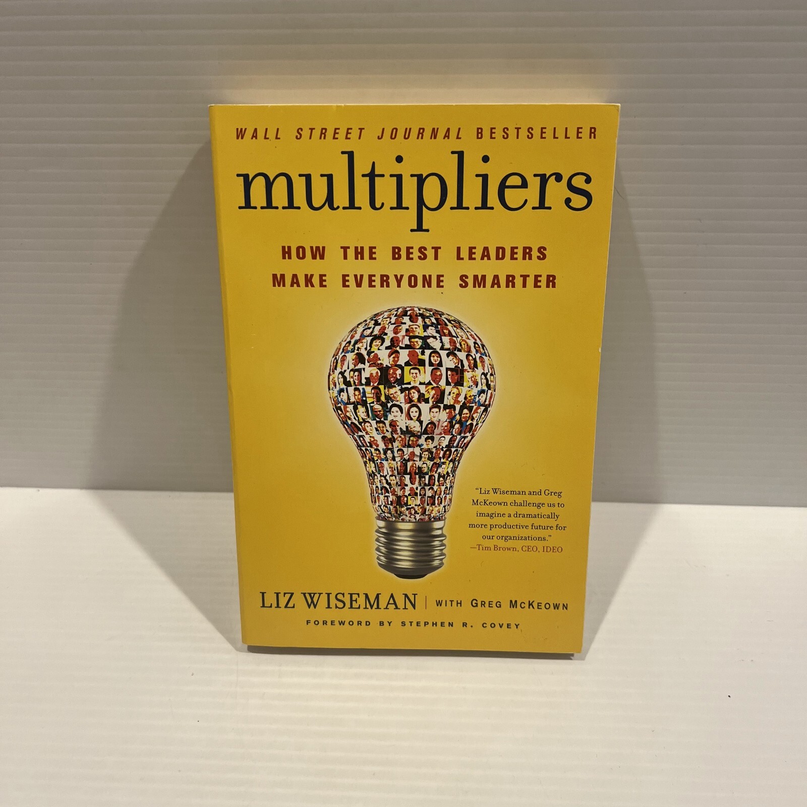 Multipliers By Liz Wiseman With Greg McKeown