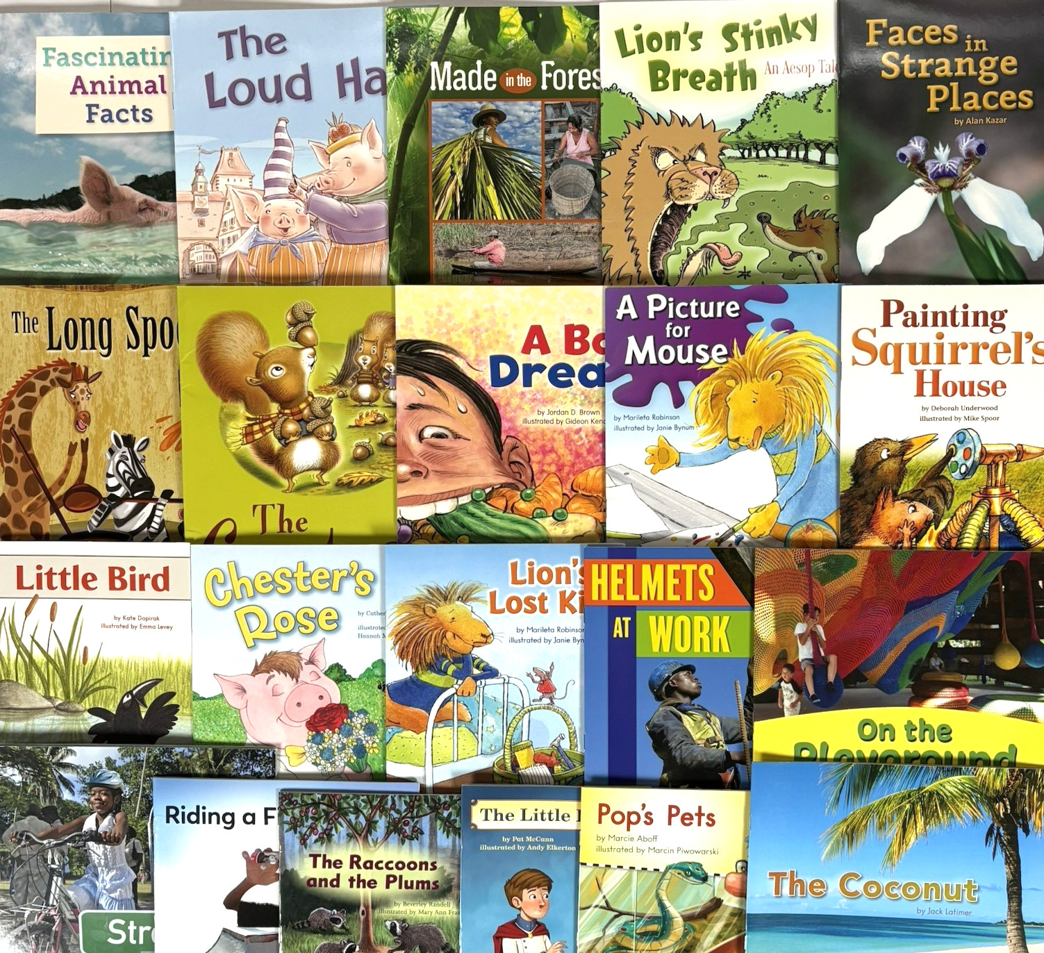 1st Grade Readers Multi-Level Reading Library #5 – 21 Books Levels E-M