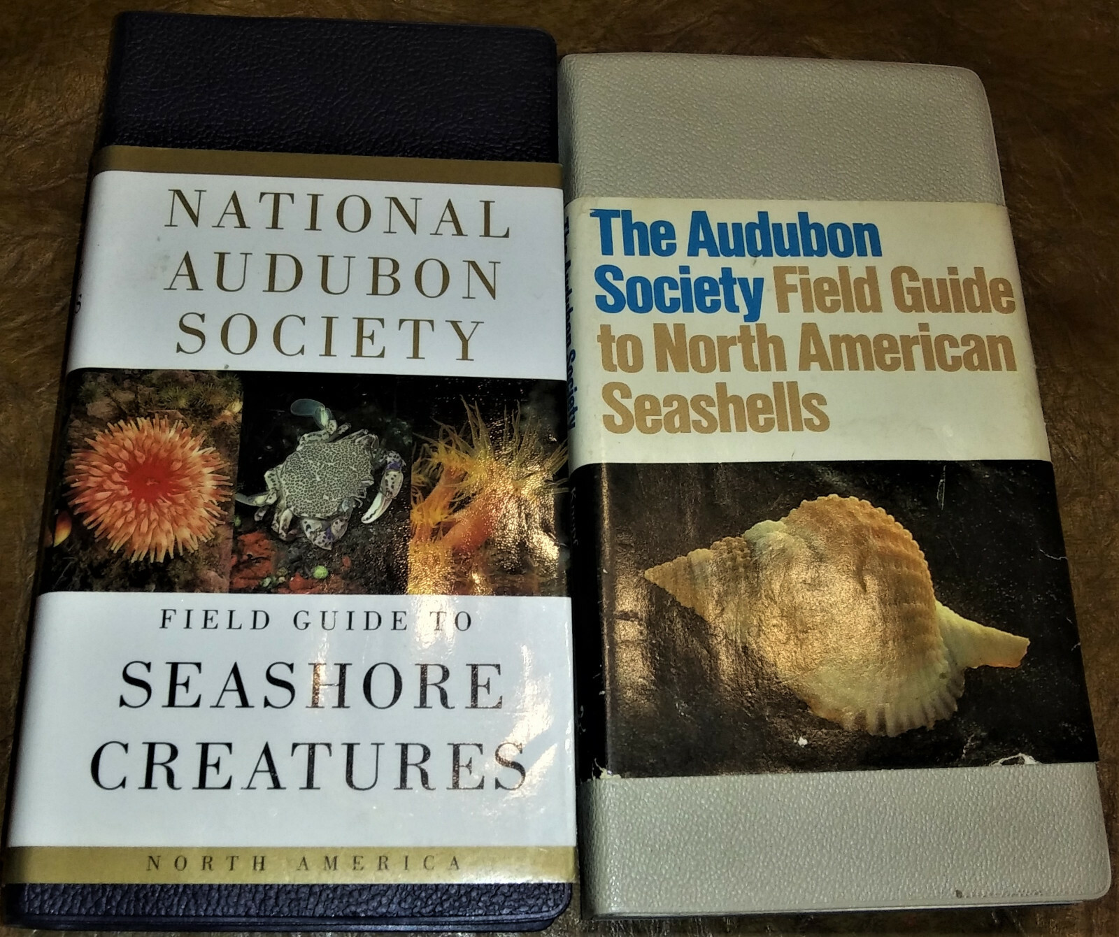Audubon Society Marine Life Seashells Conchology Seashore Creatures 2 Volumes