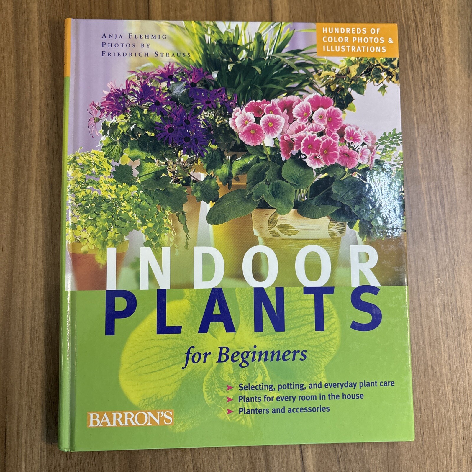 Indoor Plants for Beginners : Plant Care Basics, Choosing House Plants,…