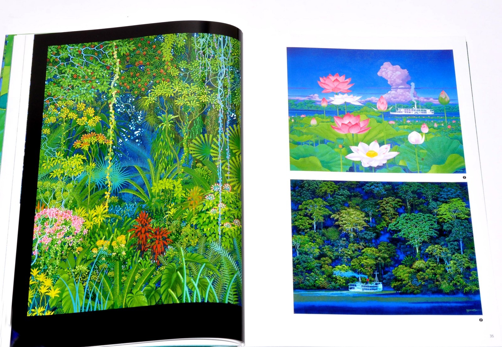 Art works Book of Emerald forest by Hiroo Isono EMERALD FOREST Art Illustration