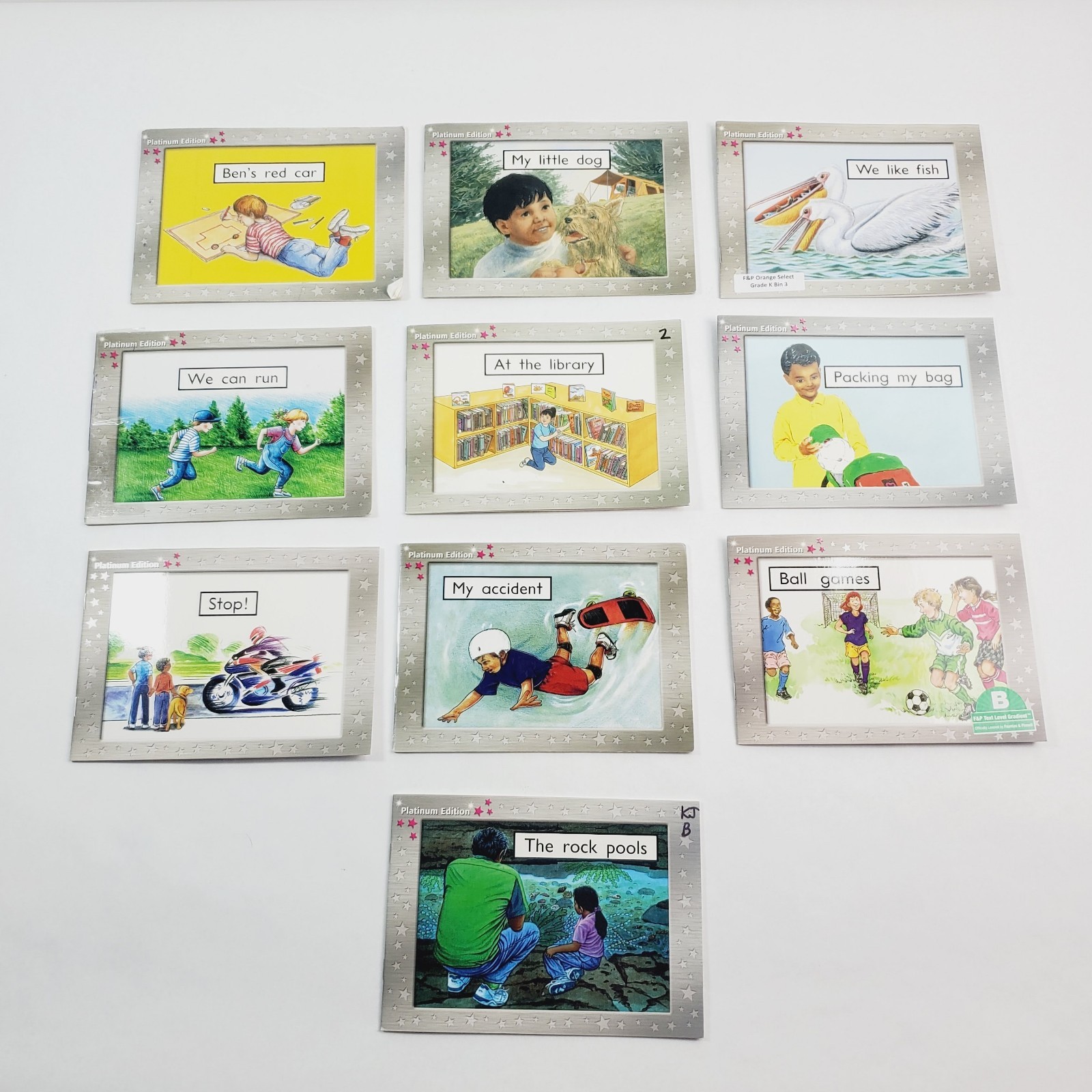 Lot of 10 Rigby PM Platinum Books Magenta Level 2 Early Learning Homeschool