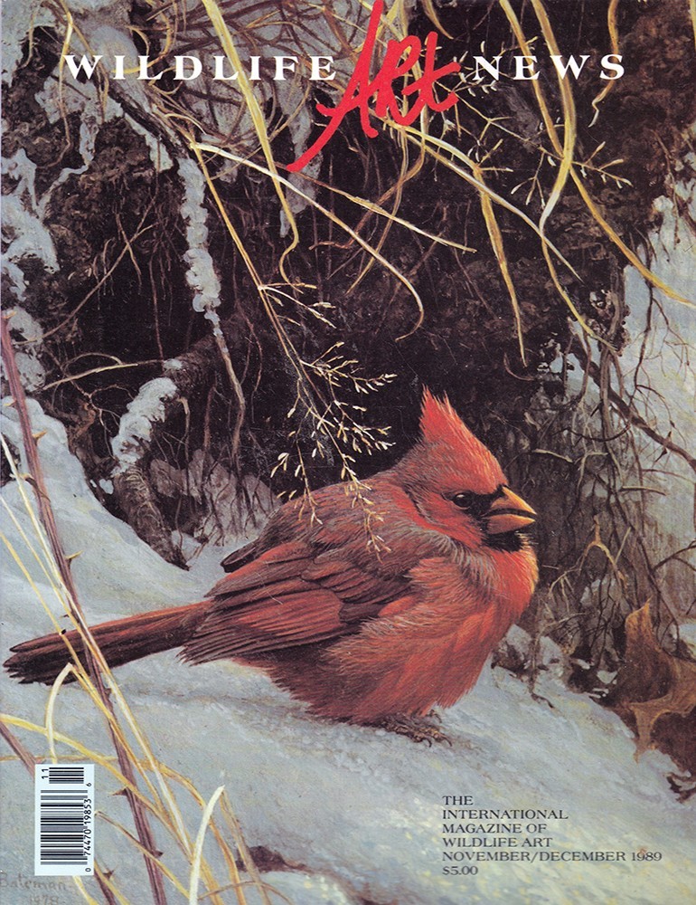 1989 WILDLIFE ART NEWS Full Year 6 Issues + 1990 & 1991 Artist Profile Yearbooks