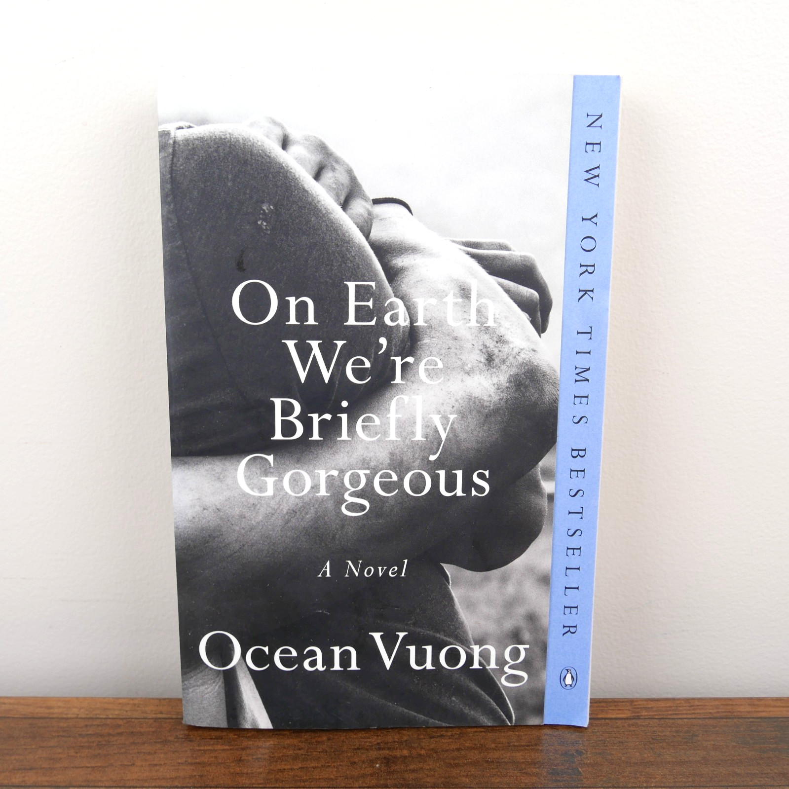 On Earth We’re Briefly Gorgeous : A Novel by Ocean Vuong (2021, Trade Paperback)