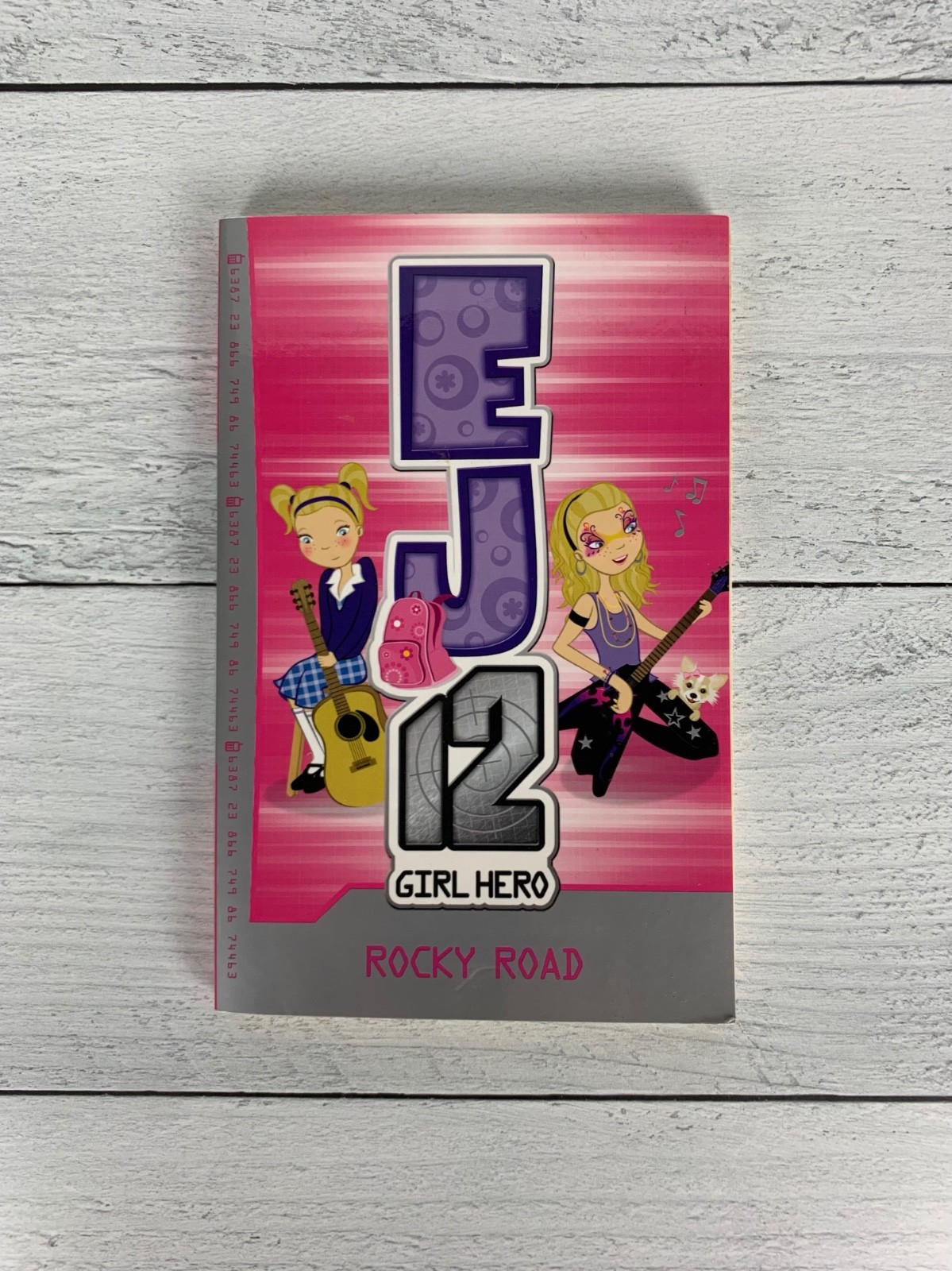 EJ 12 Girl Hero Kane Miller Usborne Book Series Lot 6 Girls Chapter Books Set