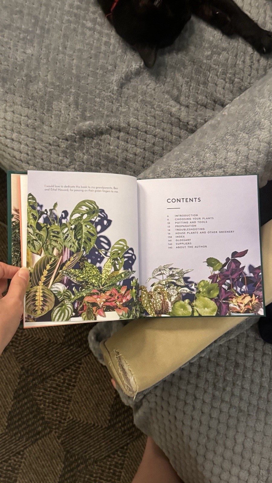Little Book of House Plants and Other Greenery by Emma Sibley (2018, Hardcover)
