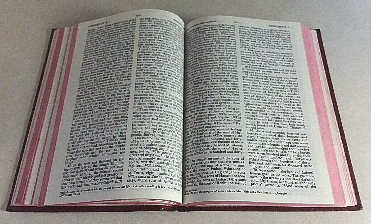 AMERICAN BIBLE SOCIETY ABS HOLY BIBLE REVISED STANDARD VERSION 1980