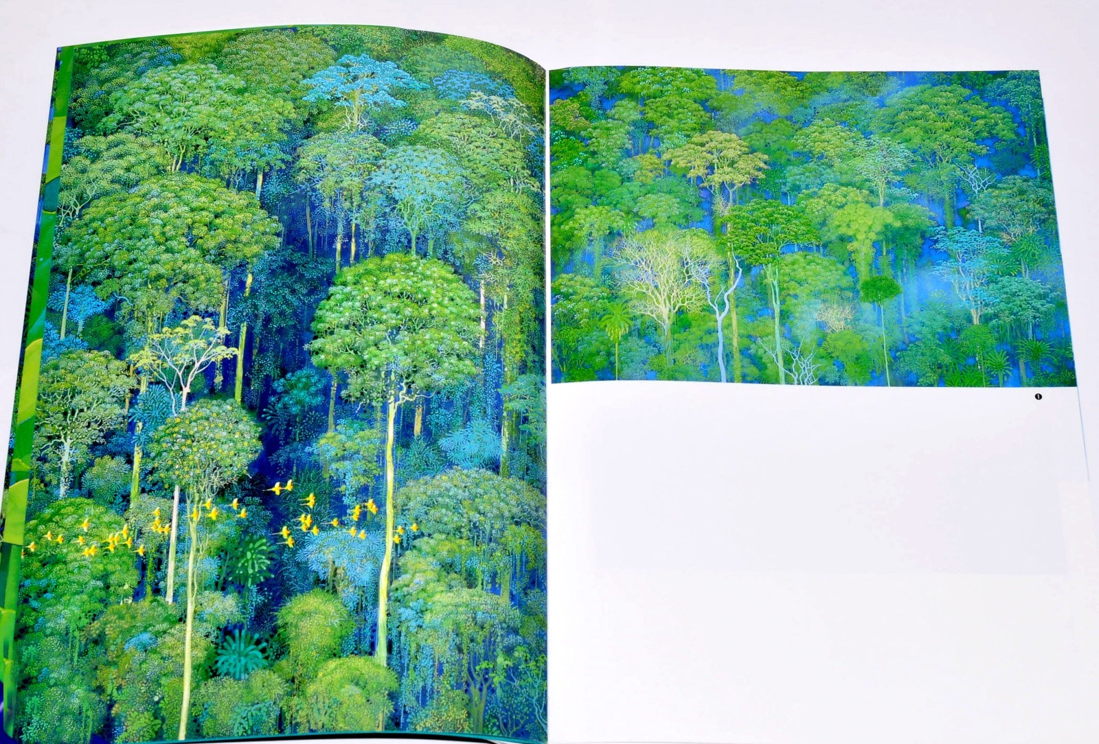 Art works Book of Emerald forest by Hiroo Isono EMERALD FOREST Art Illustration